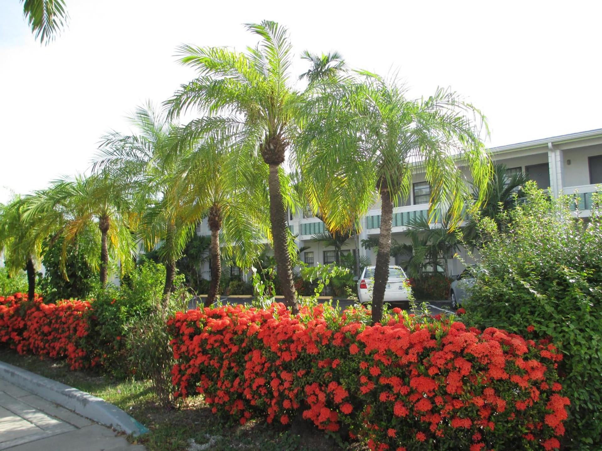 Shalimar Motel photo 10
