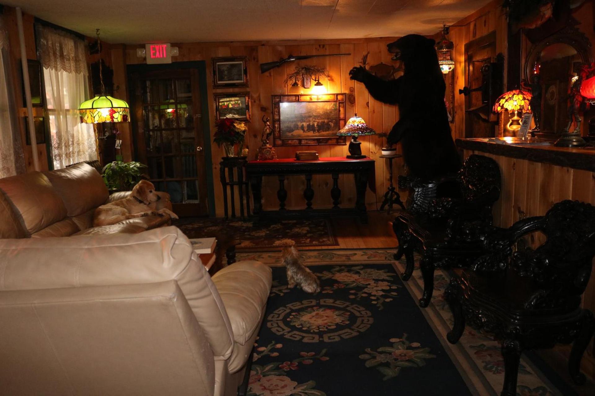 Colonial Inn photo 21