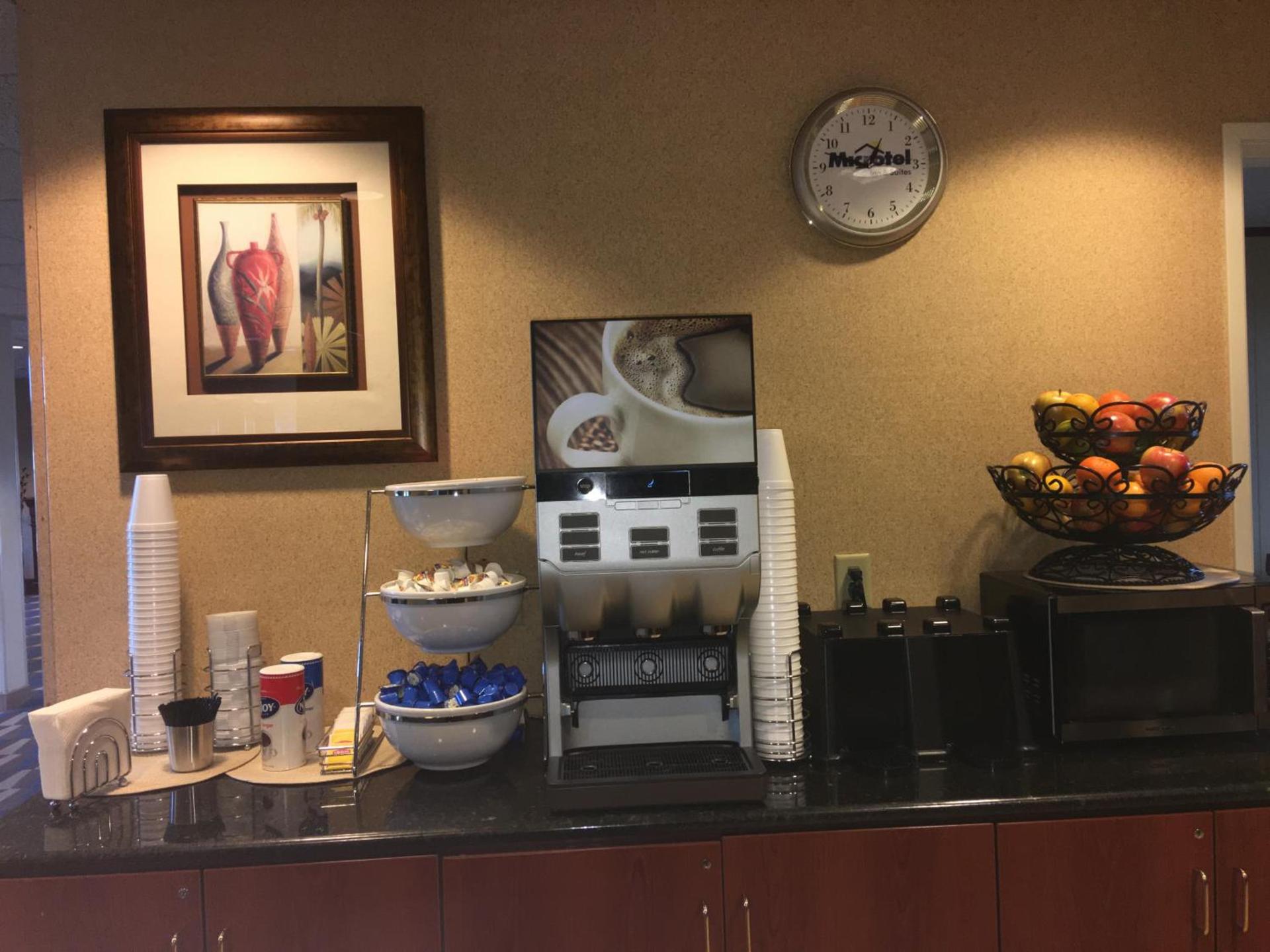 Microtel Inn & Suites by Wyndham Indianapolis Airport photo 37