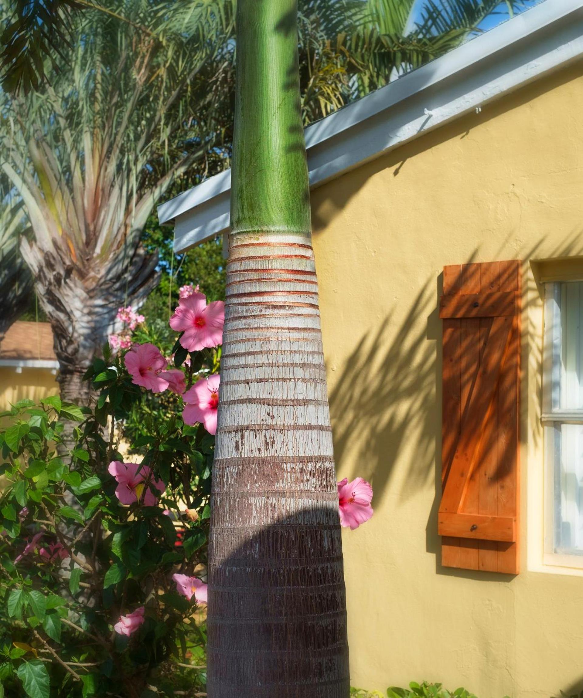Atlantic Hideaway photo 4