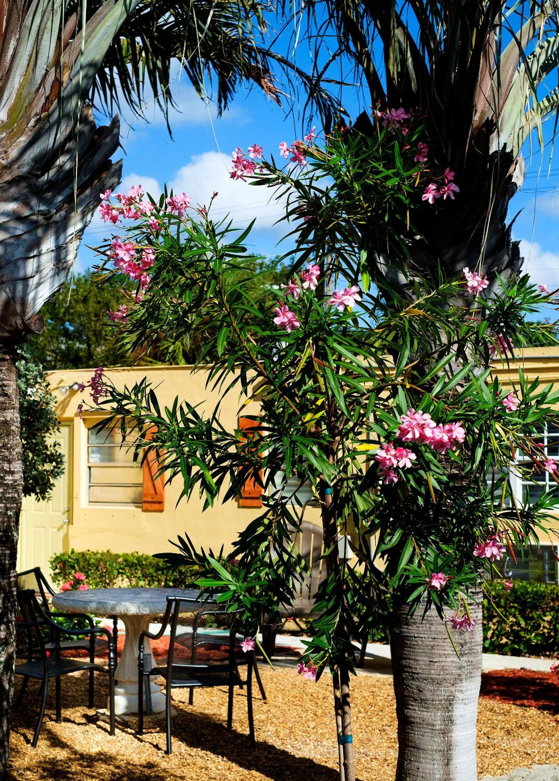 Atlantic Hideaway photo 9