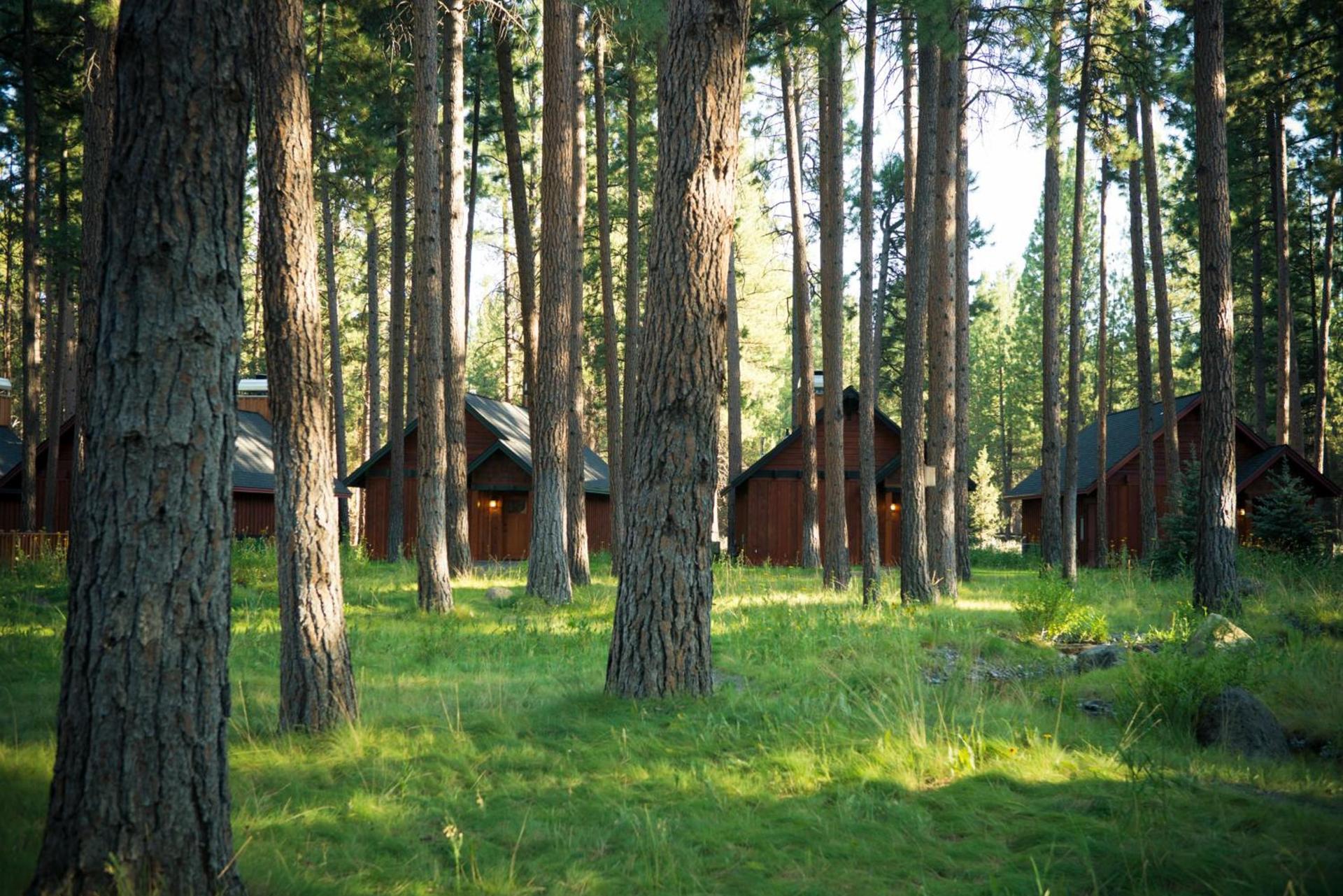 FivePine Lodge photo 29