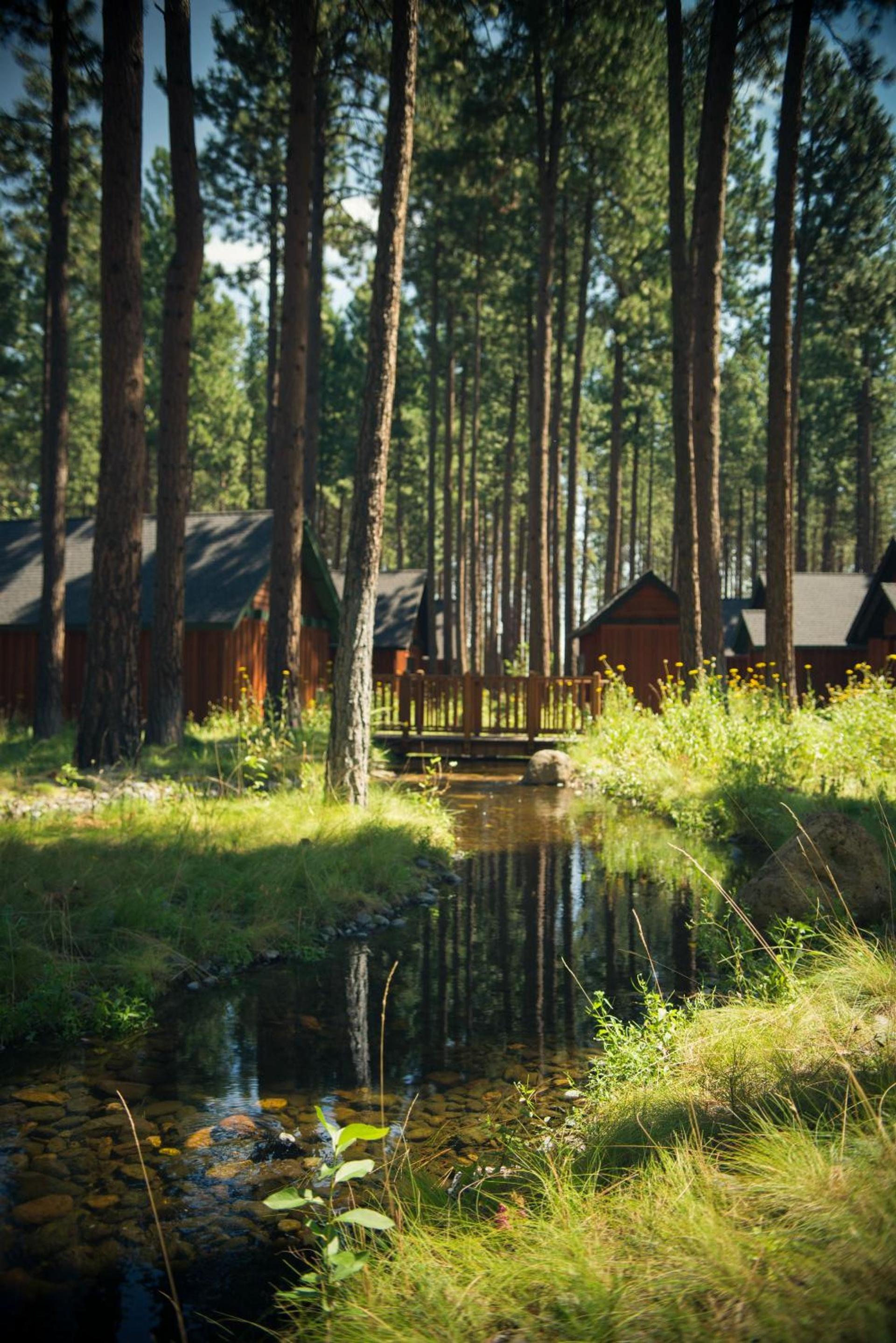 FivePine Lodge photo 66