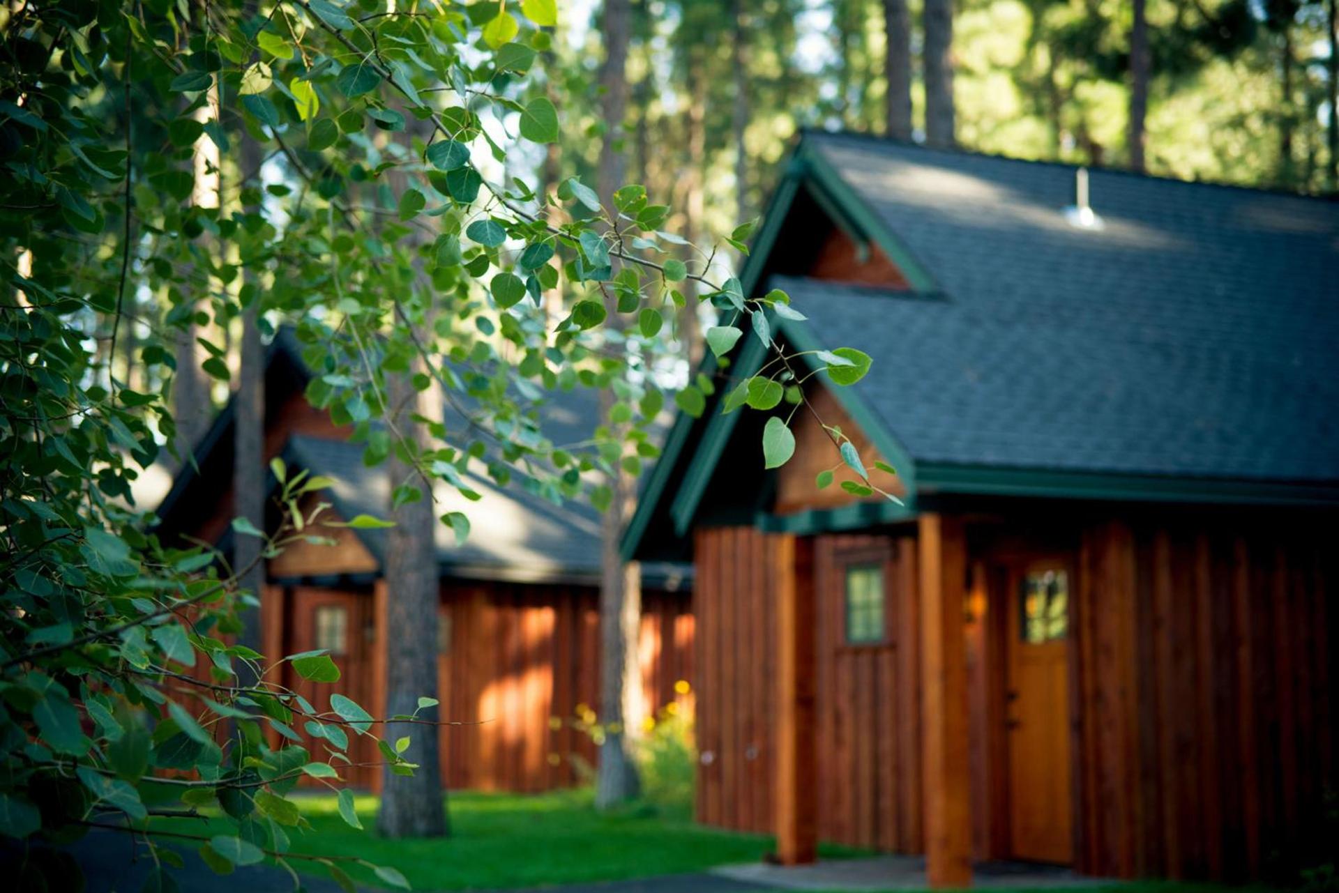 FivePine Lodge photo 13