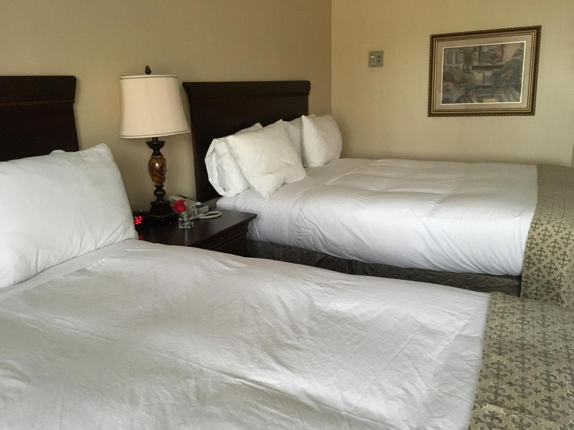 Colts Neck Inn Hotel photo 69