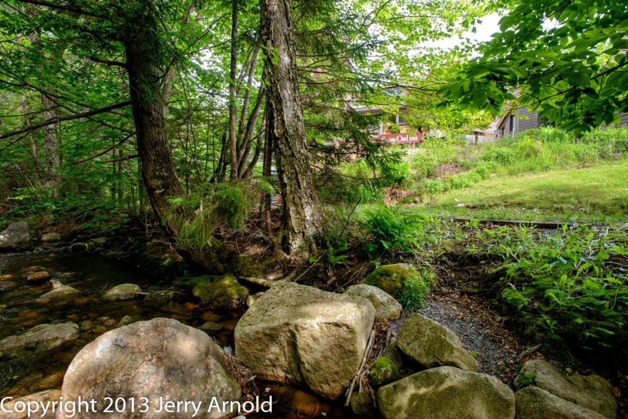 Snowy Owl Inn photo 58