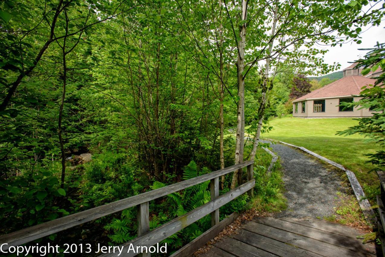 Snowy Owl Inn photo 56
