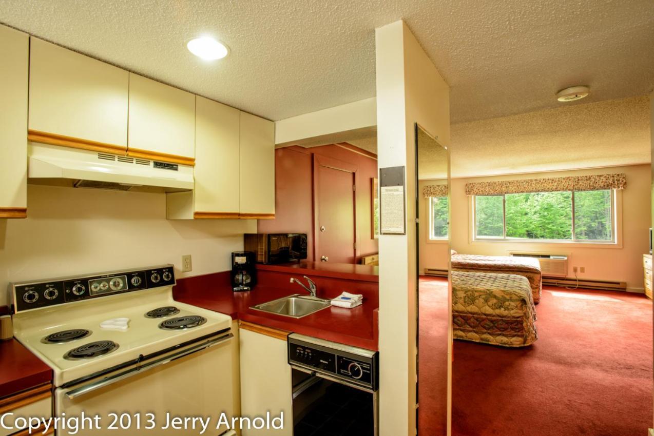 Snowy Owl Inn photo 50