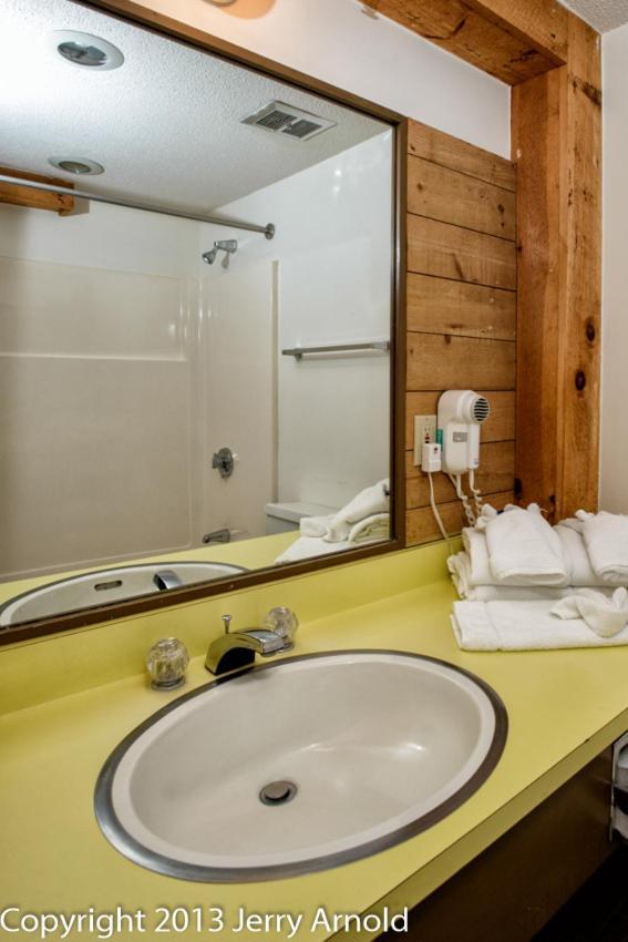 Snowy Owl Inn photo 47