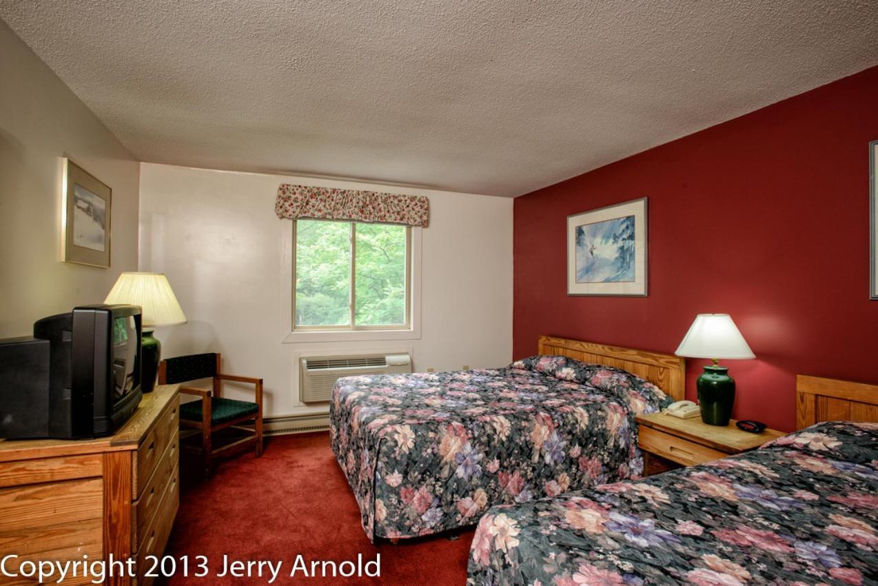 Snowy Owl Inn photo 42