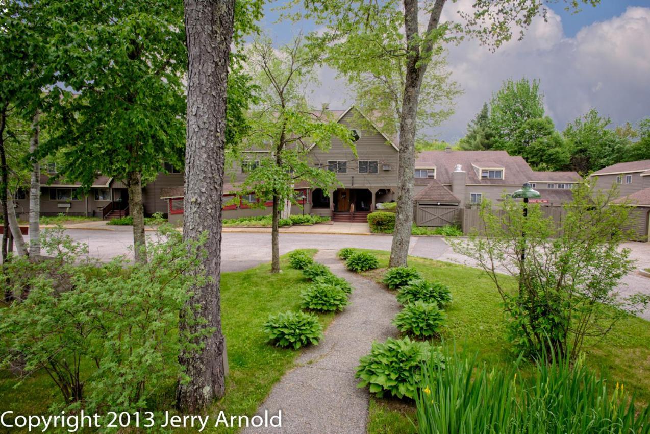 Snowy Owl Inn photo 40