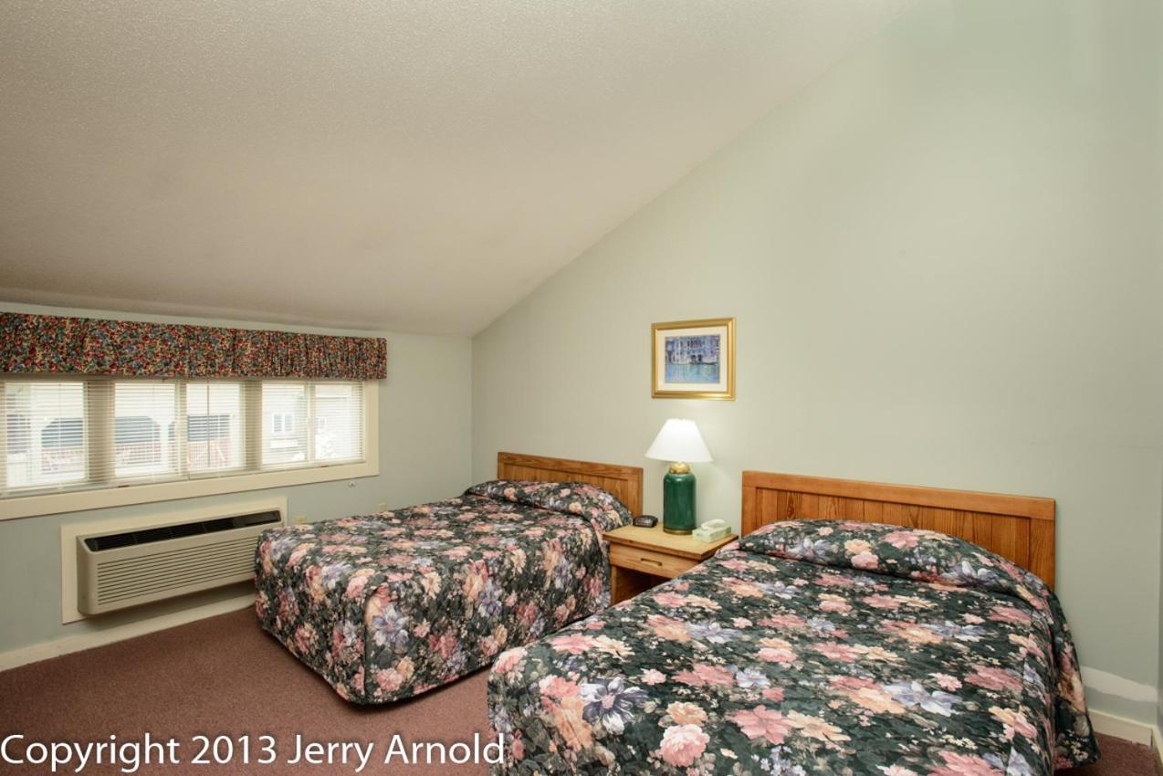 Snowy Owl Inn photo 39