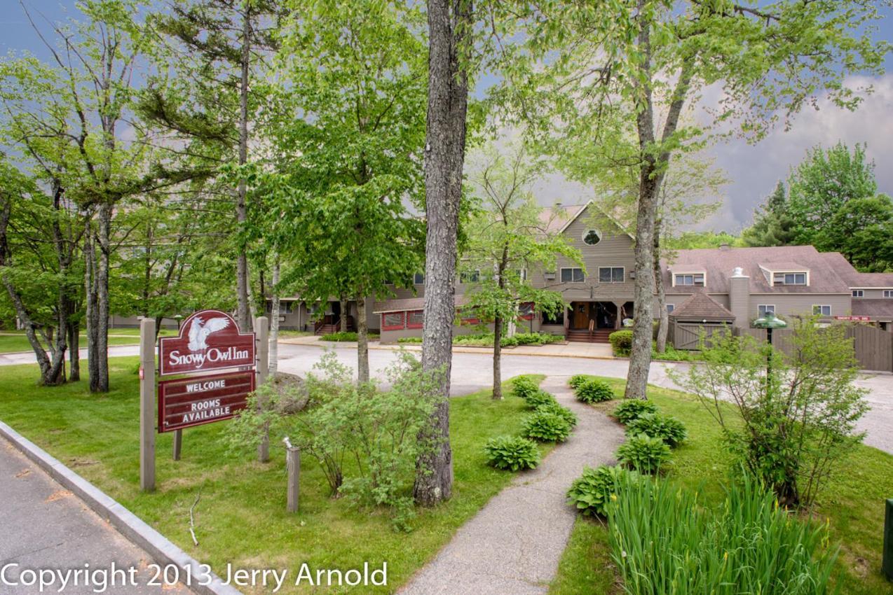 Snowy Owl Inn photo 37