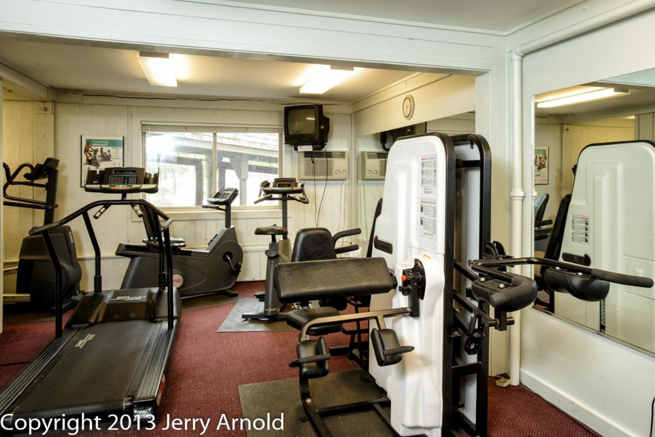 Snowy Owl Inn photo 36