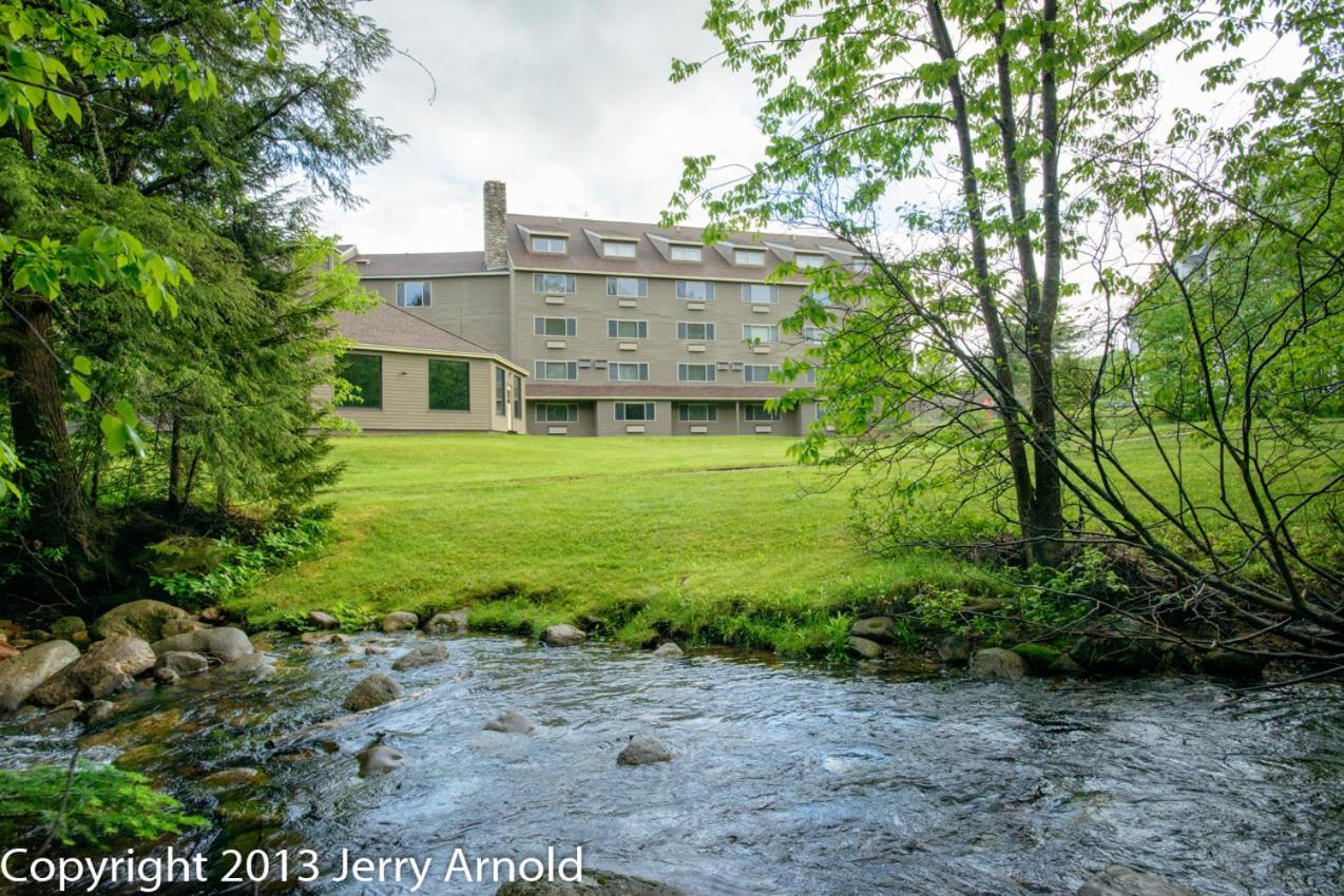 Snowy Owl Inn photo 23