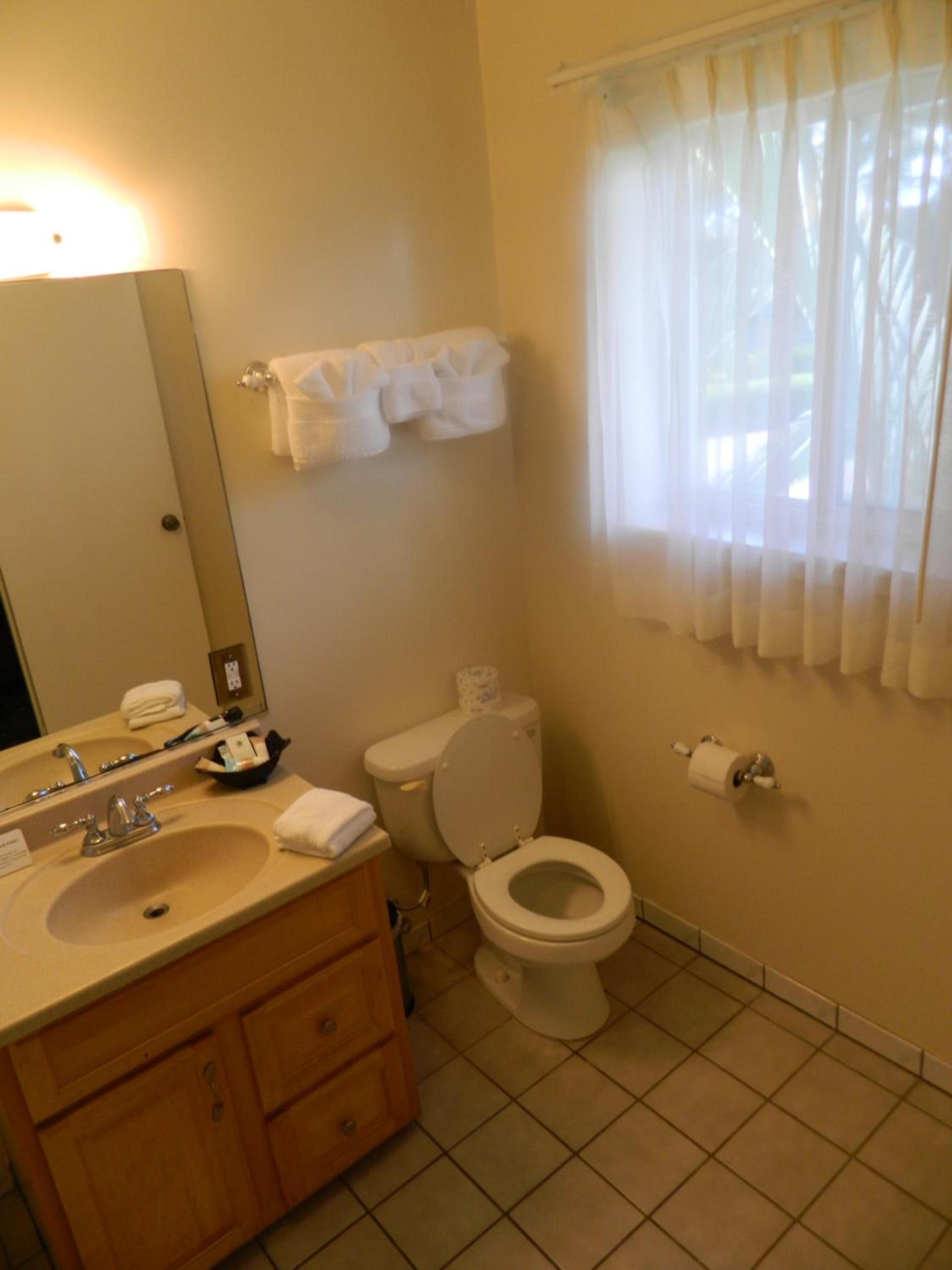 Hotel Coral Reef photo 29