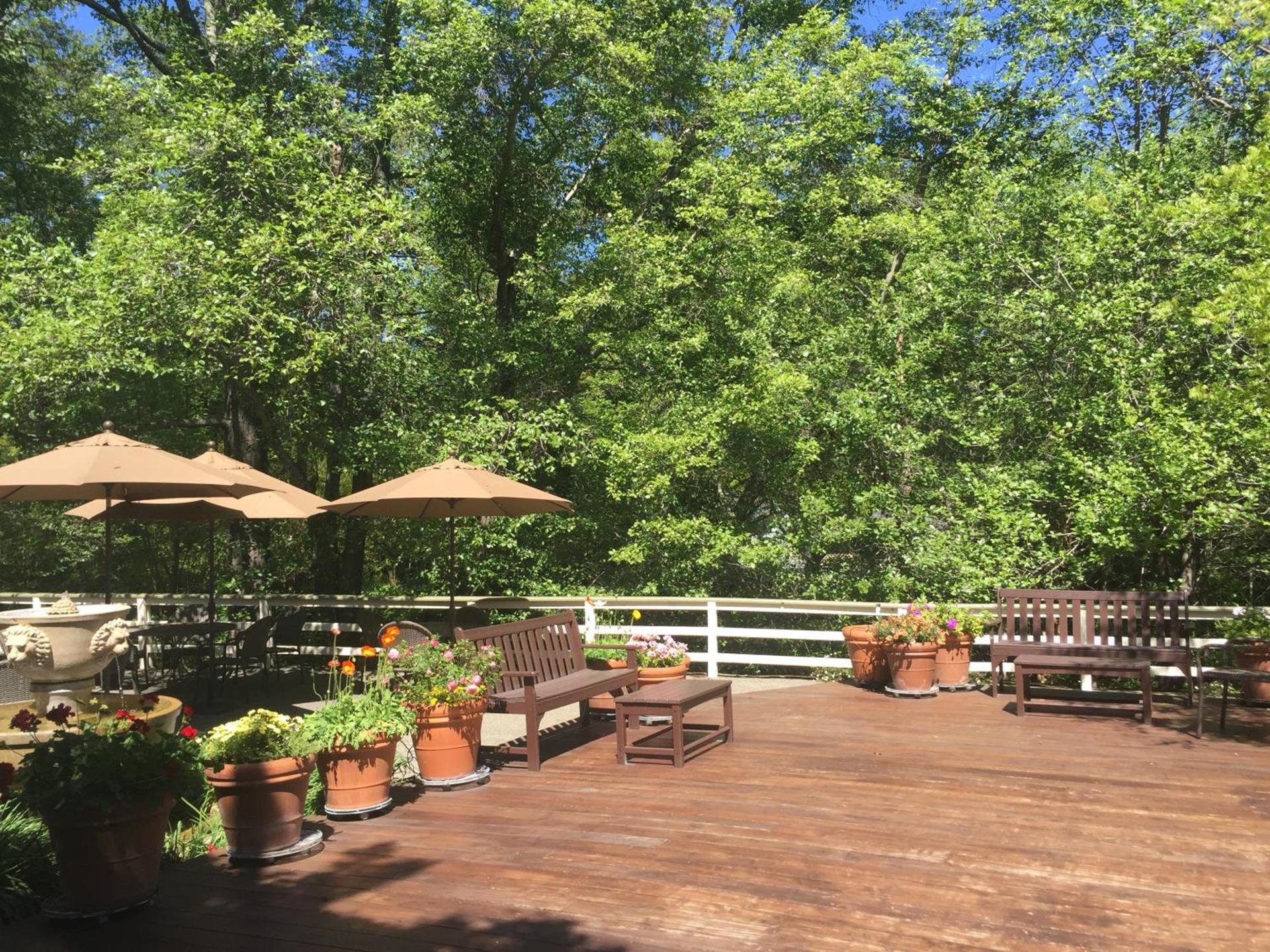 The Jack London Lodge photo 39