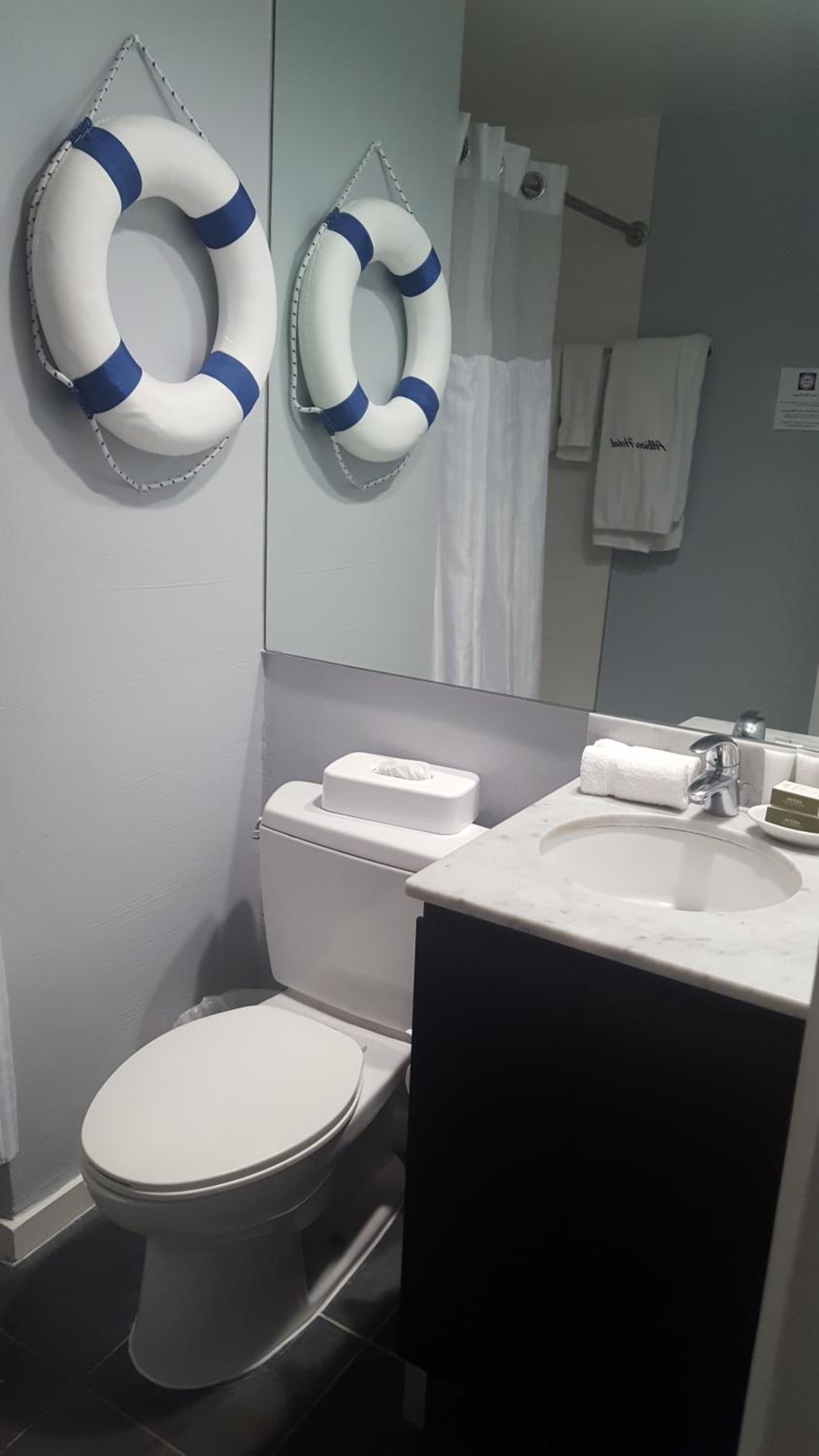 Albion Hotel photo 48