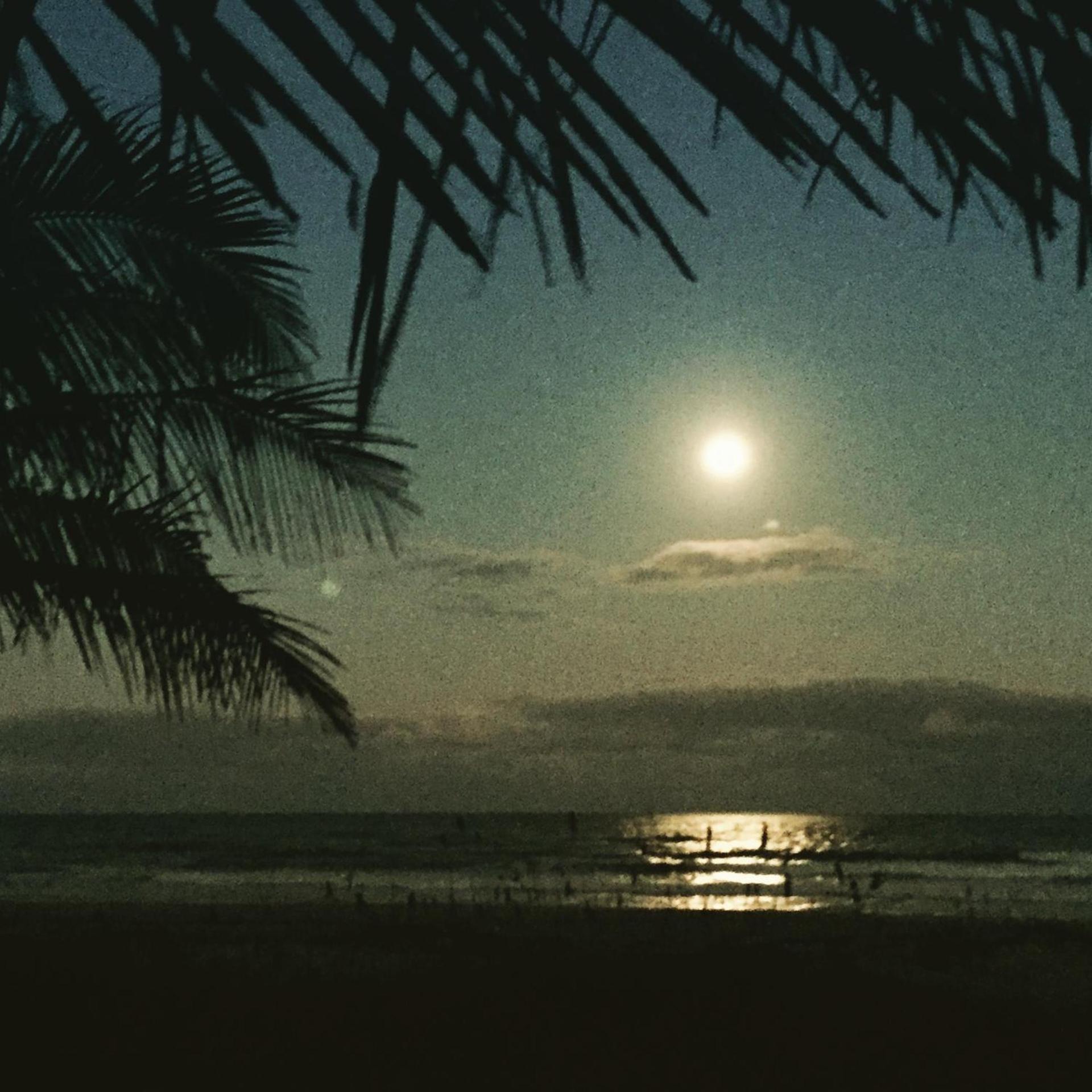 Surf Studio Beach Resort photo 52