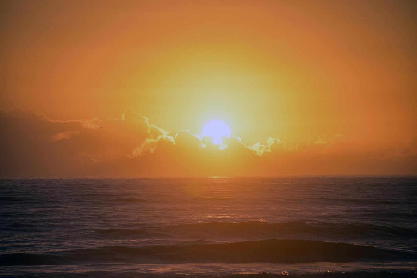 Surf Studio Beach Resort photo 59