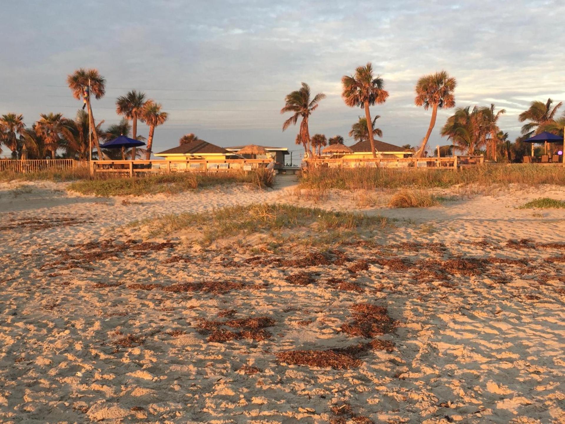 Surf Studio Beach Resort photo 44