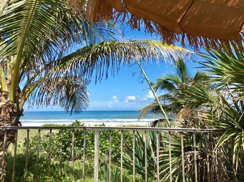 Surf Studio Beach Resort photo 3