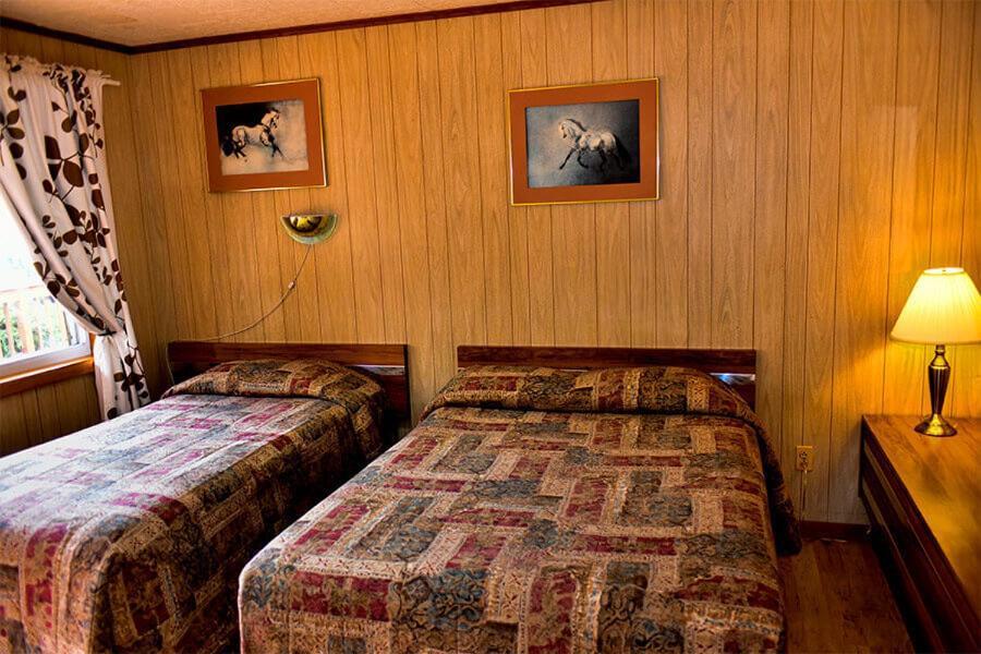 Xenia Lodge photo 11