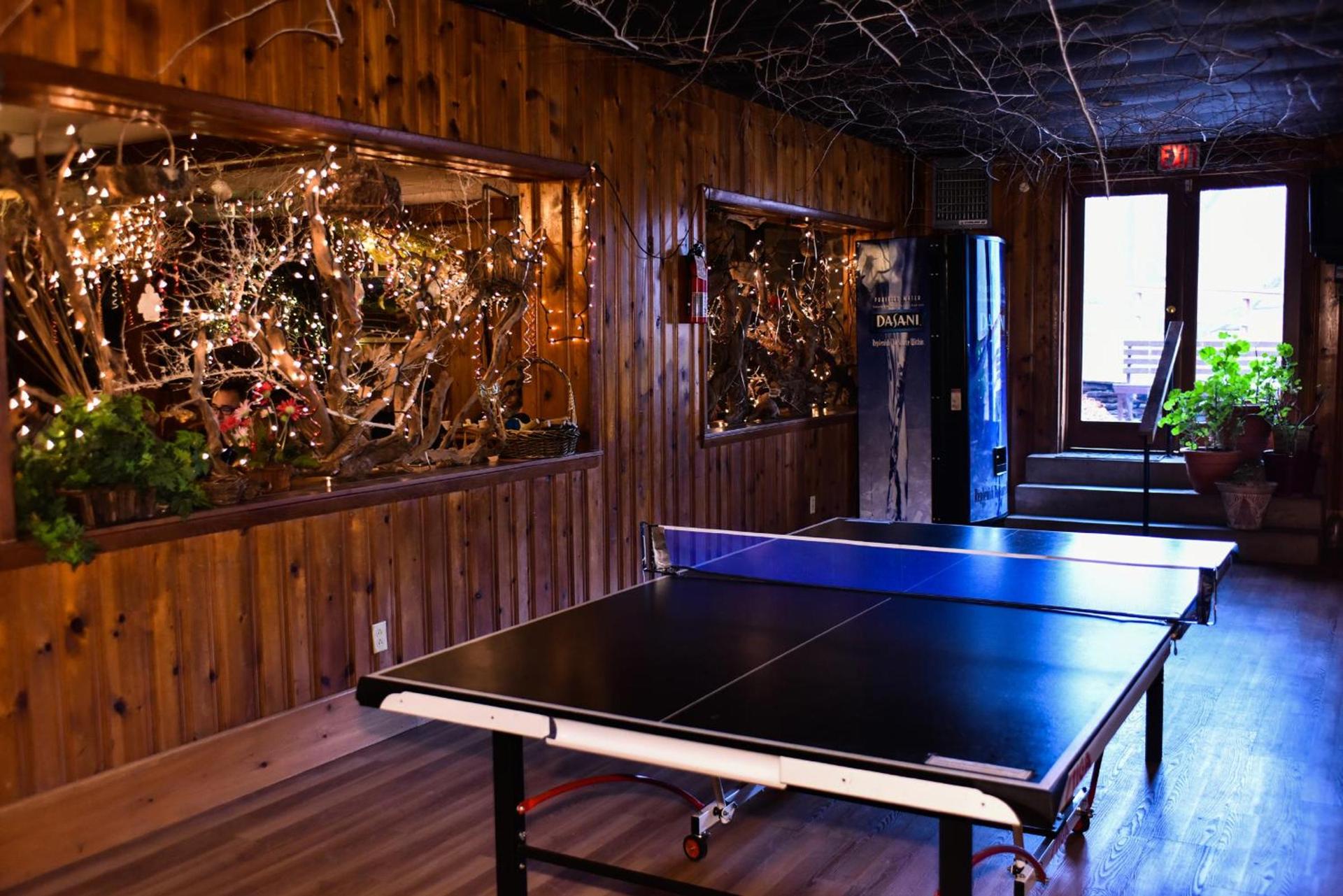 Xenia Lodge photo 6