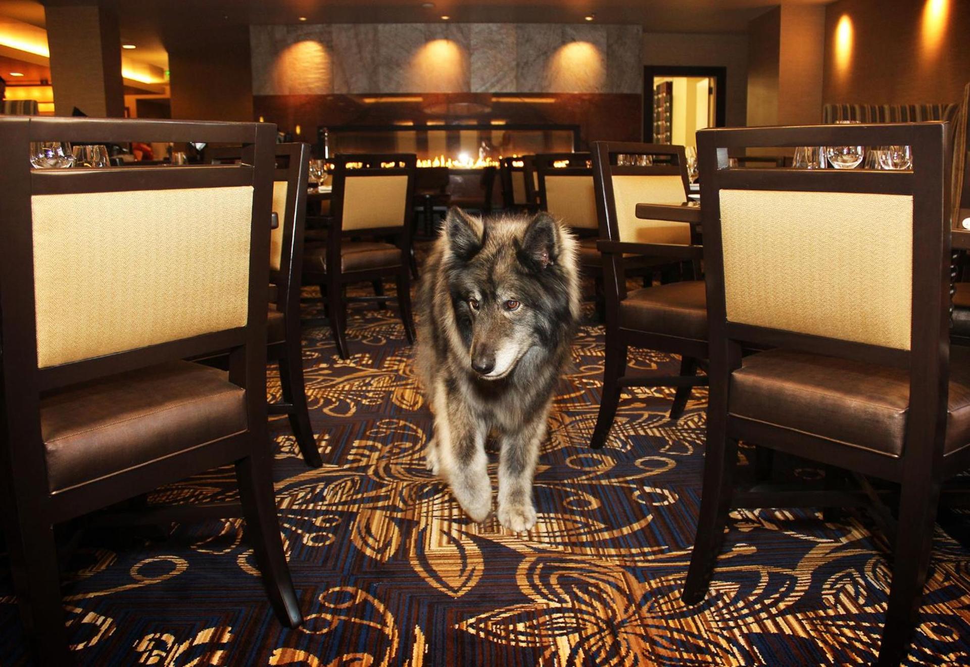 Jackson Rancheria Casino Resort photo 33