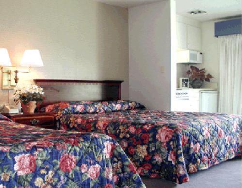 Coral Reef Inn & Condo Suites photo 12