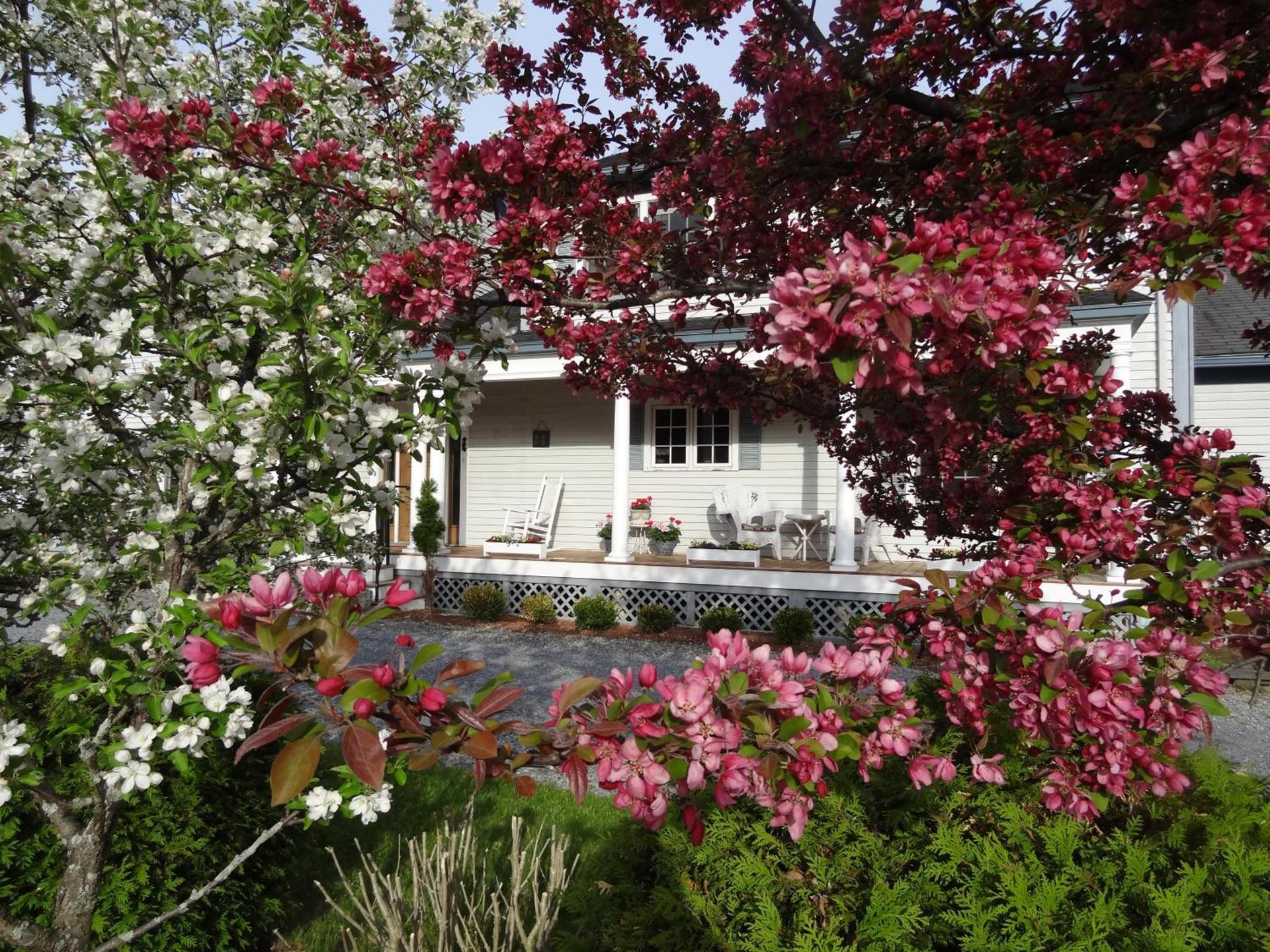 Williston Village Inn photo 1