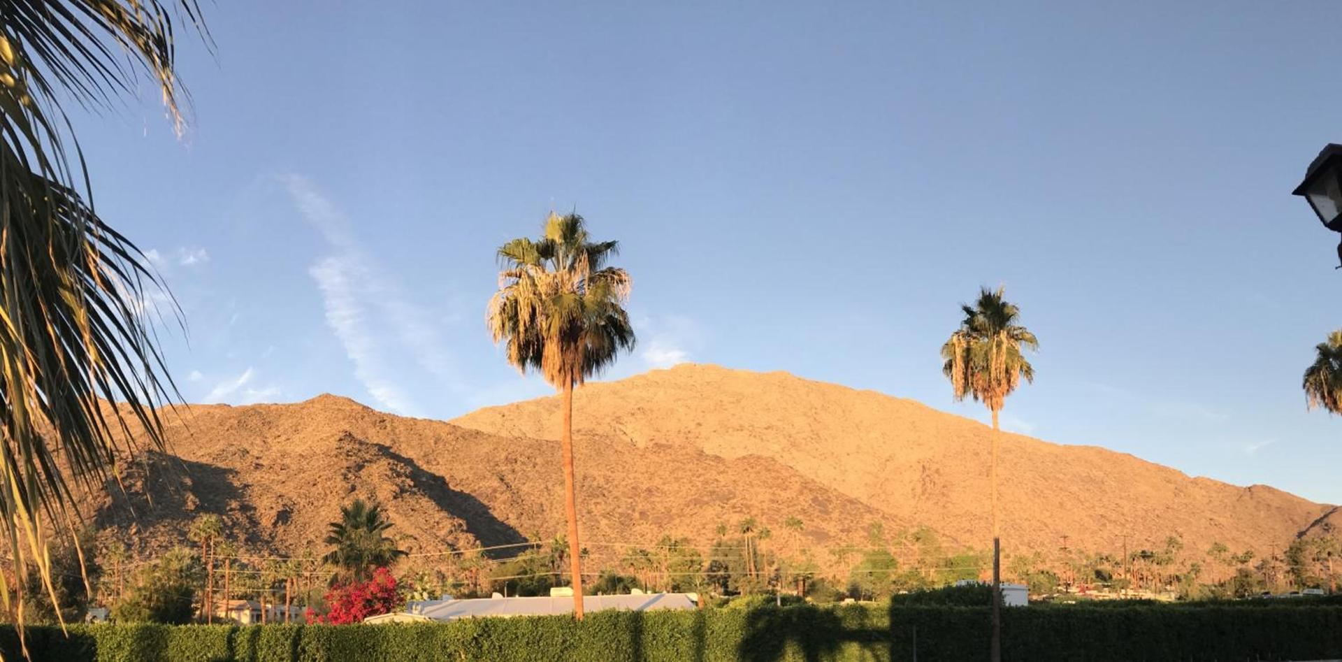 Delos Reyes Palm Springs photo 23