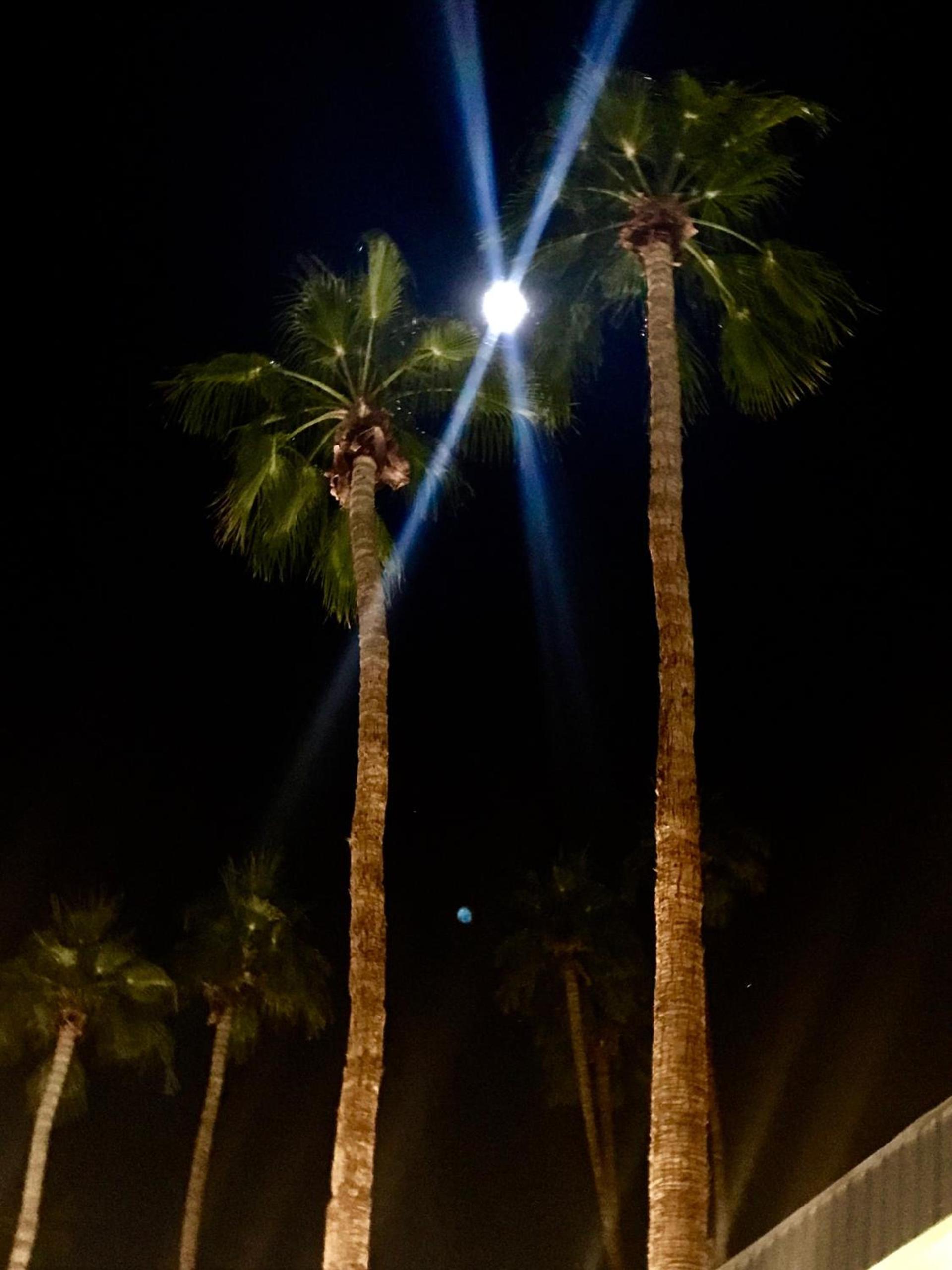 Delos Reyes Palm Springs photo 18