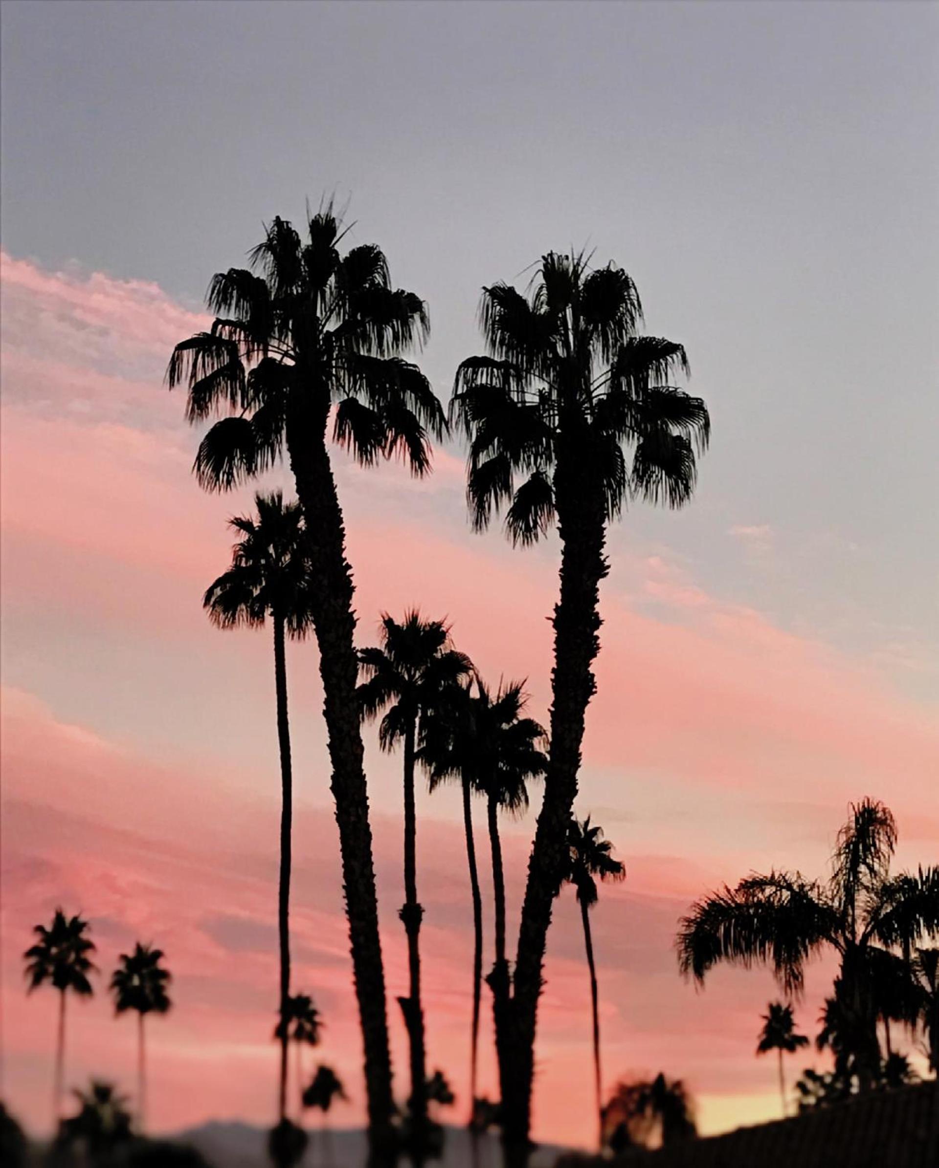 Delos Reyes Palm Springs photo 13