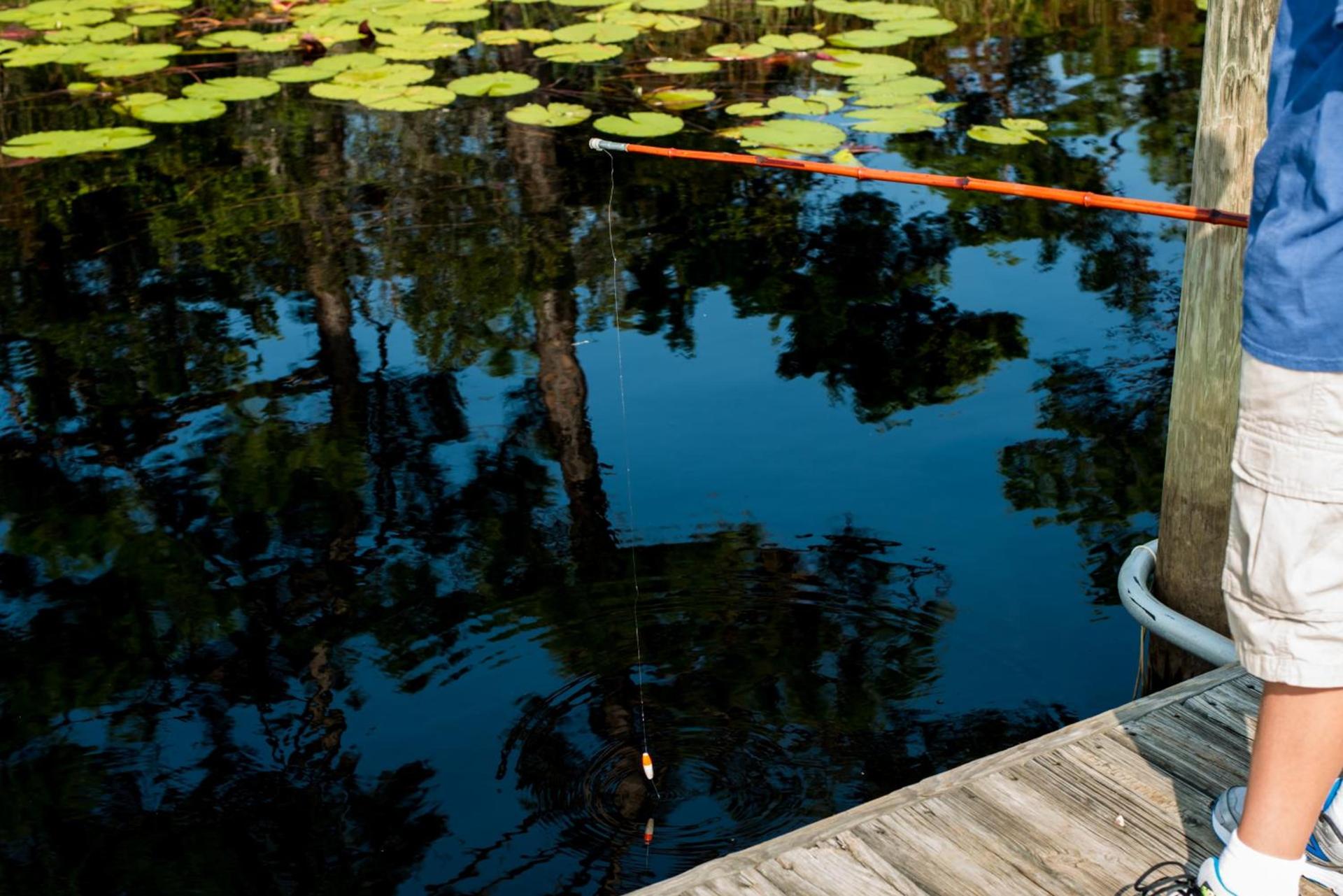 WaterColor Inn & Resort photo 21