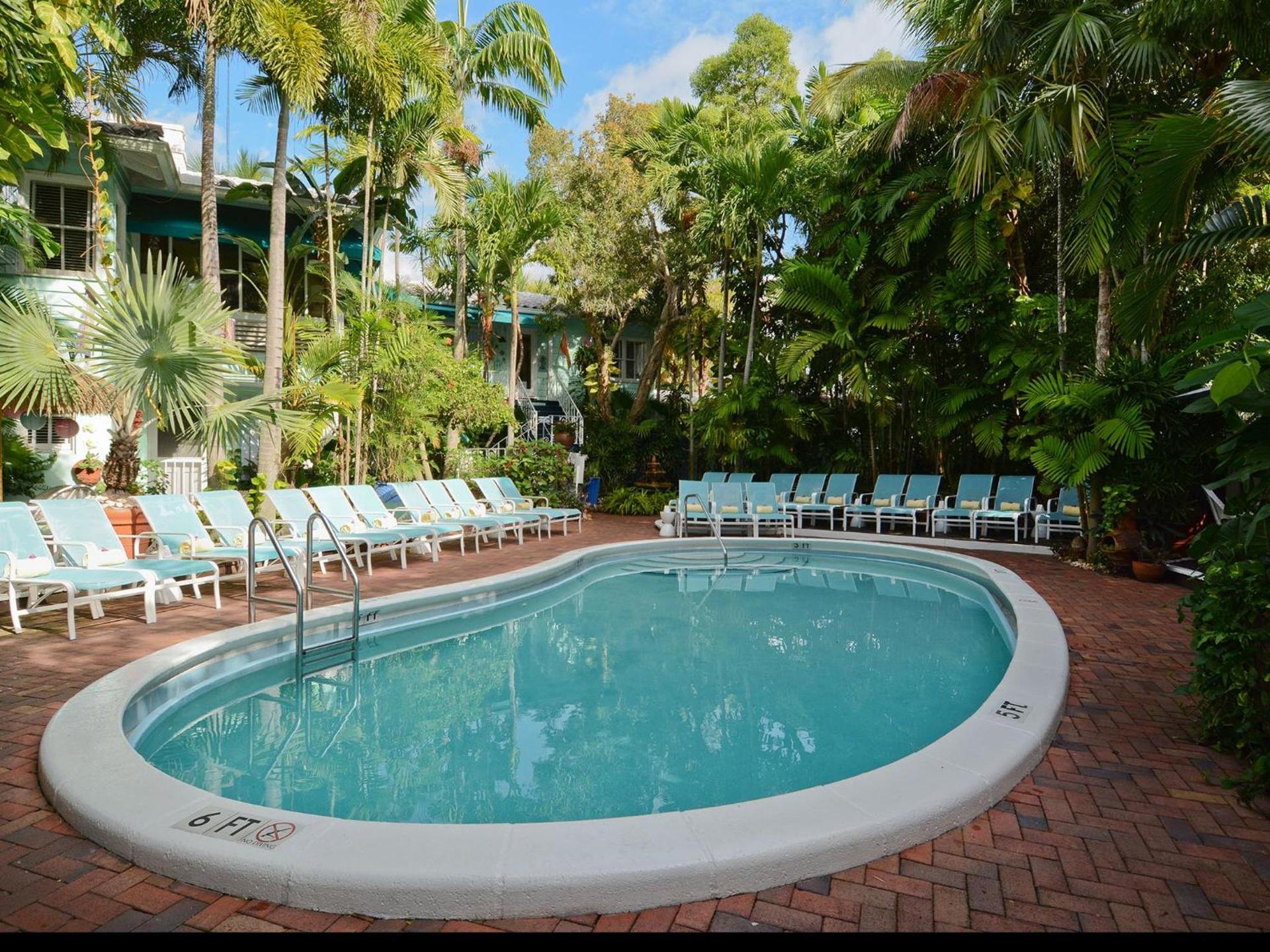 Pineapple Point Guesthouse & Resort - Gay Men's Resort photo 3