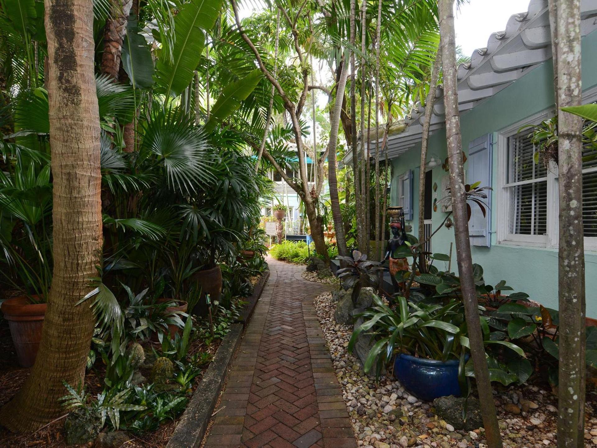 Pineapple Point Guesthouse & Resort - Gay Men's Resort photo 14