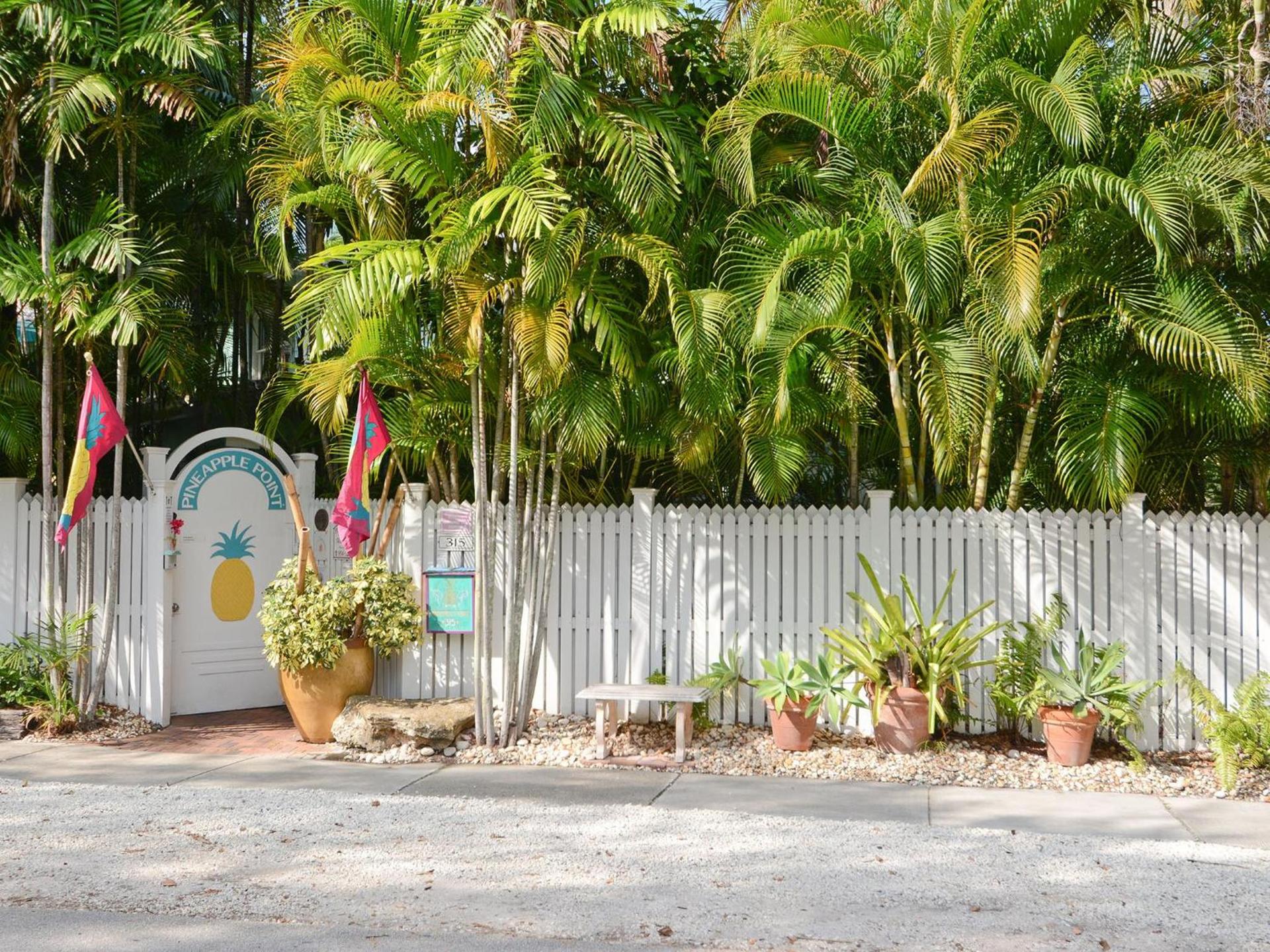 Pineapple Point Guesthouse & Resort - Gay Men's Resort photo 9