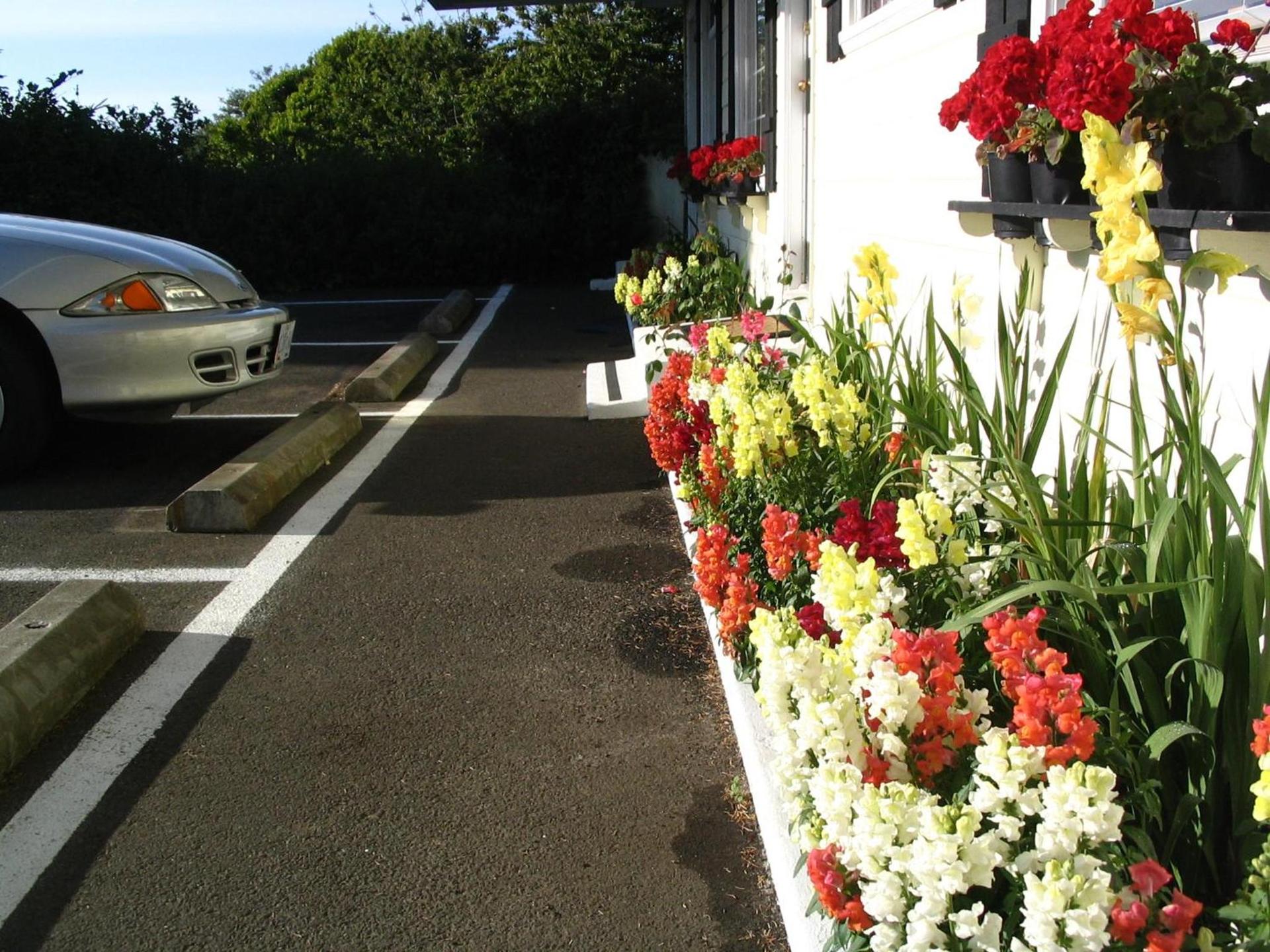 Captain Cook Inn photo 23
