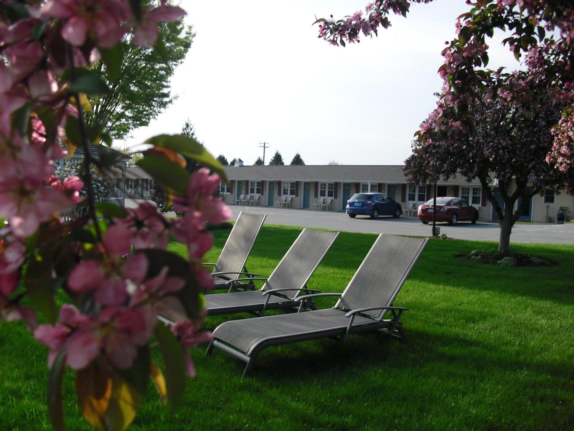 Travelers Rest Motel photo 19