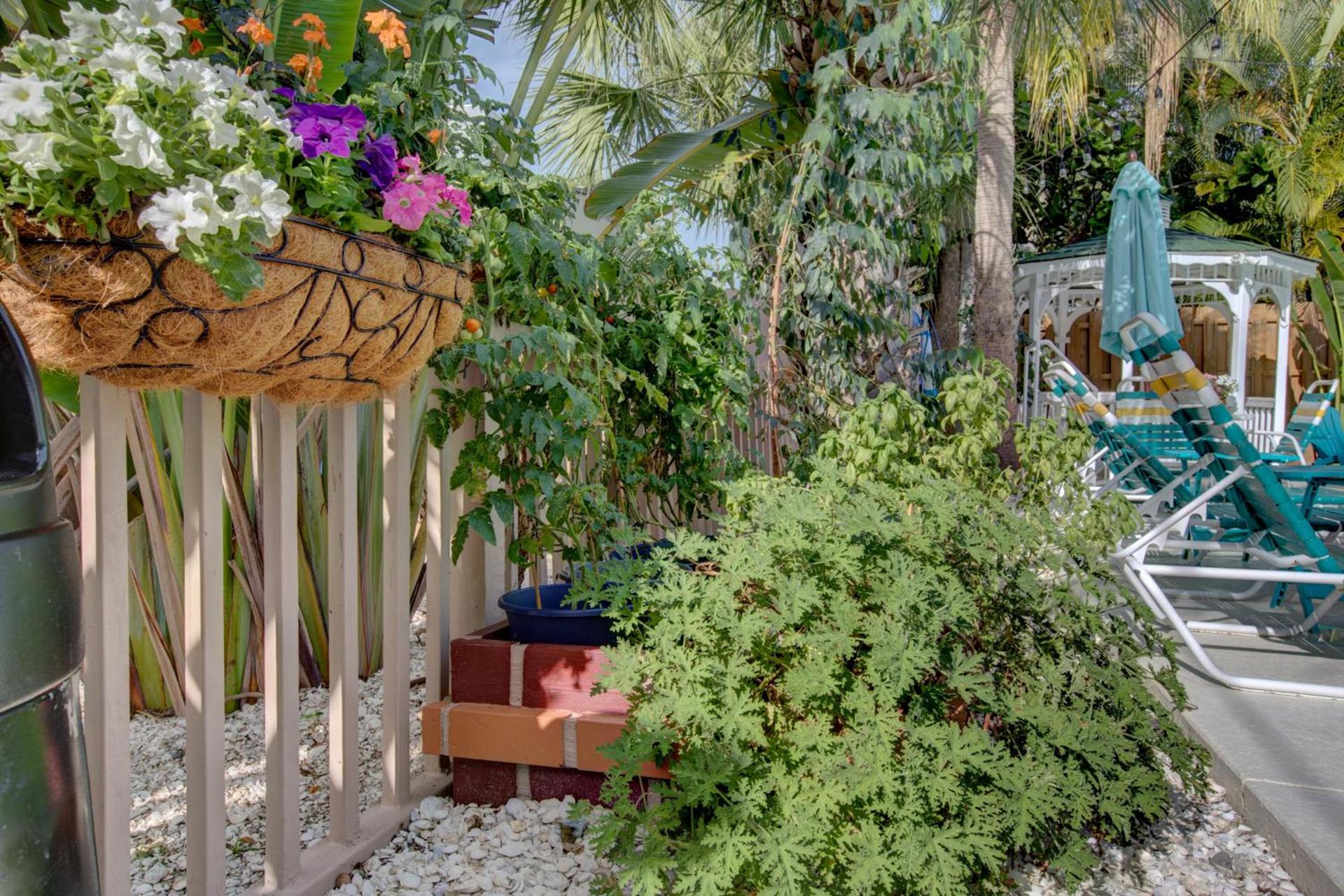 The Ringling Beach House photo 6