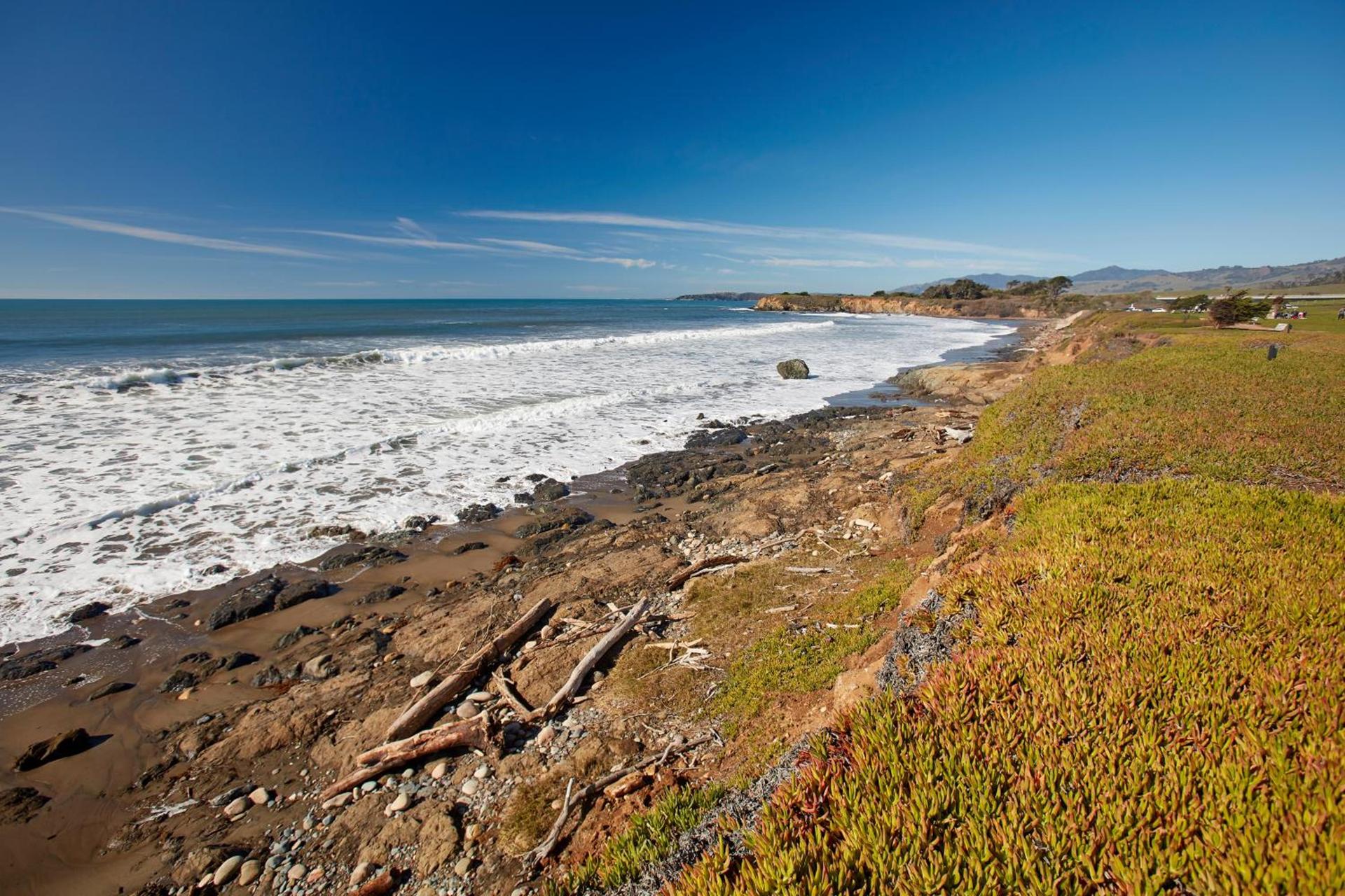 Cavalier Oceanfront Resort photo 37
