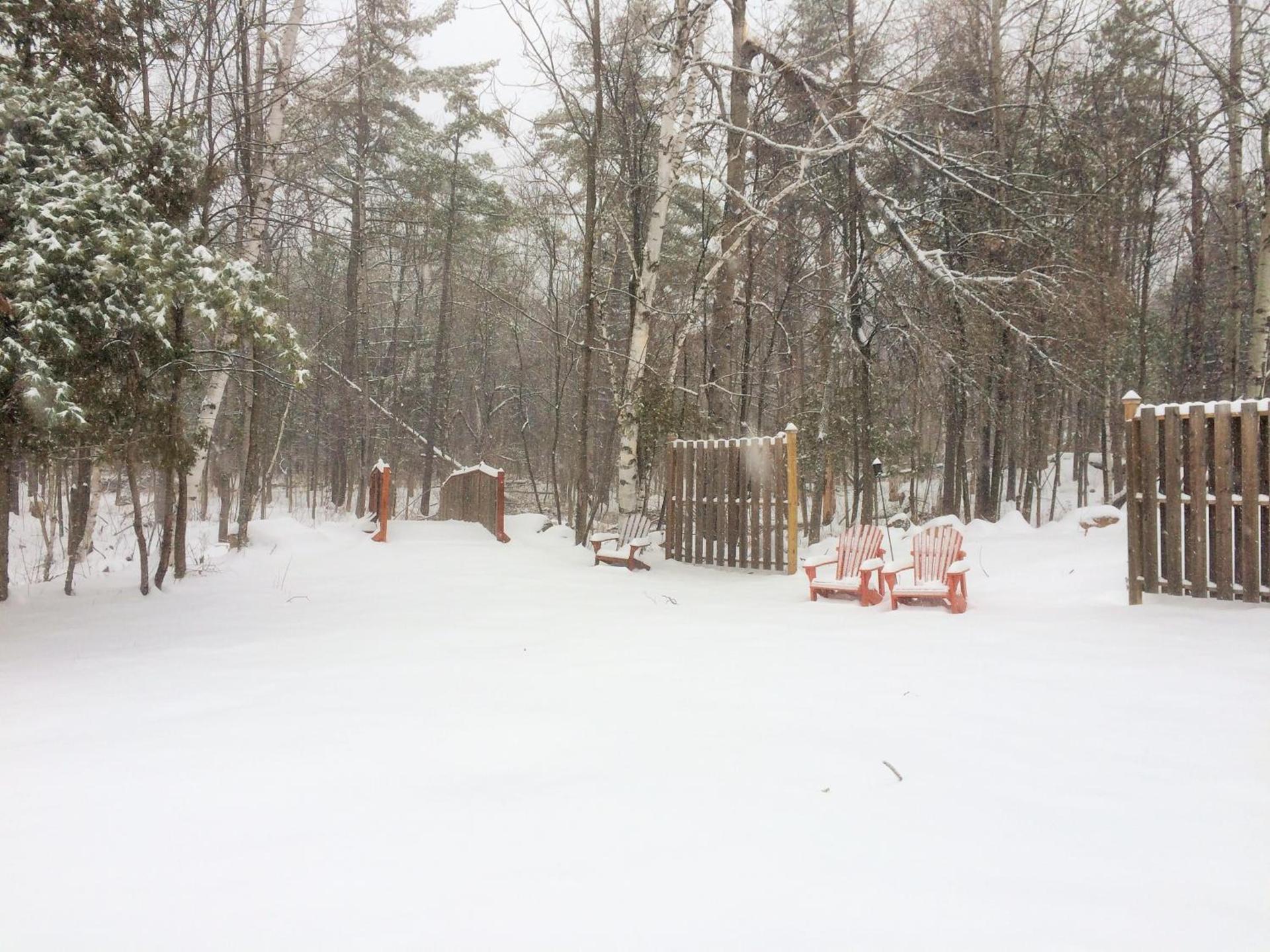 Adirondack Spruce Lodge photo 95