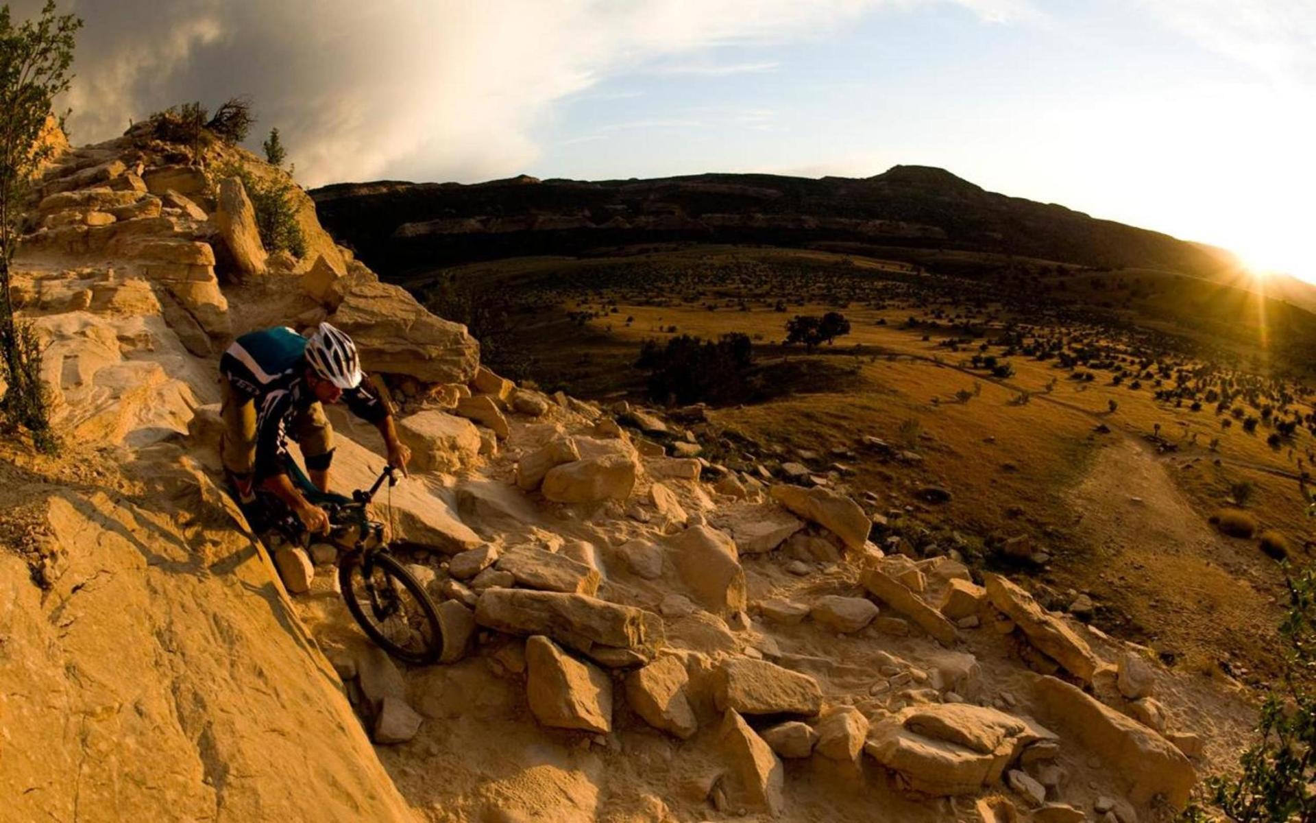 Super 8 by Wyndham Fruita photo 18