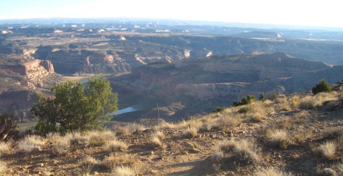 Super 8 by Wyndham Fruita photo 20