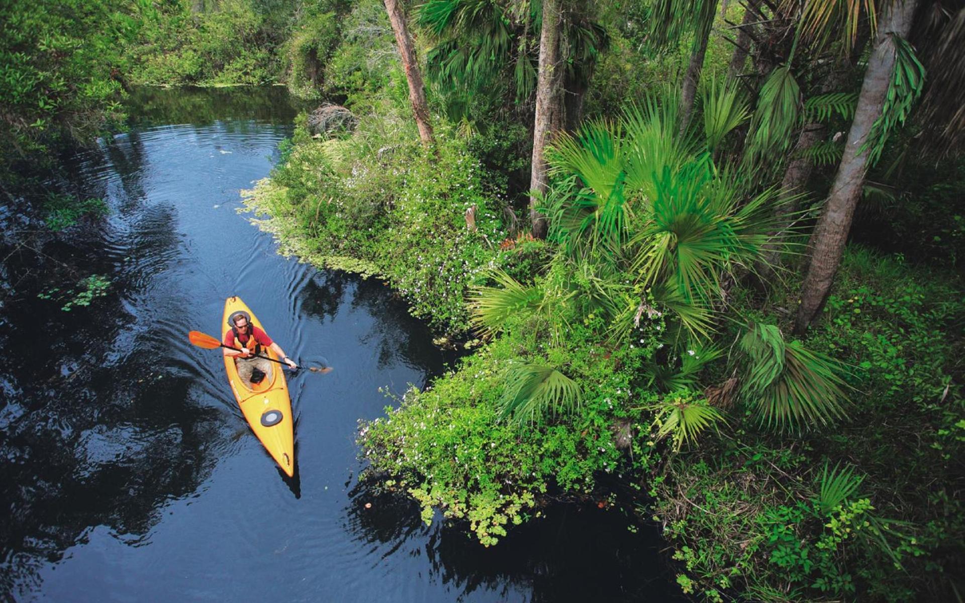 Sanibel Island Beach Resort photo 17