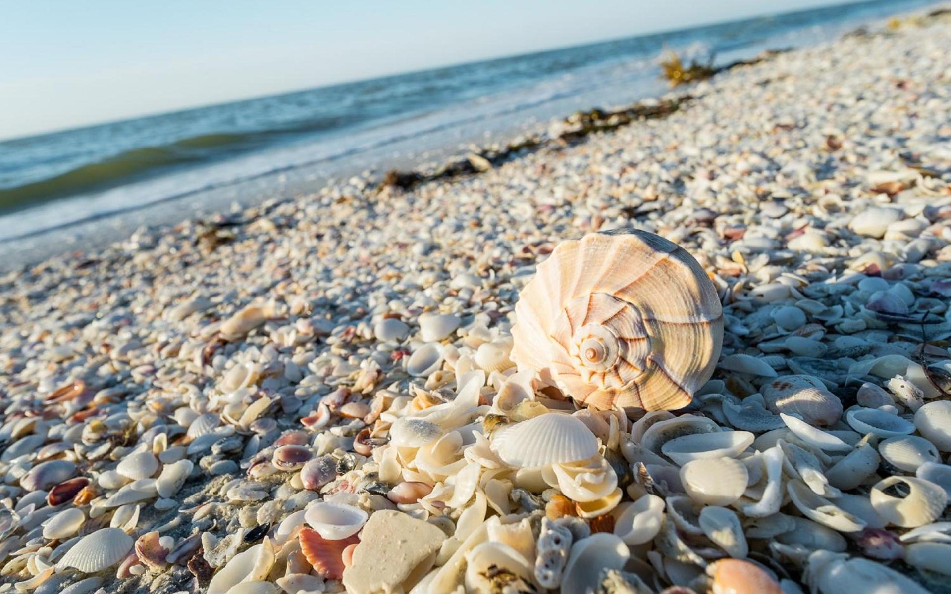 Sanibel Island Beach Resort photo 12