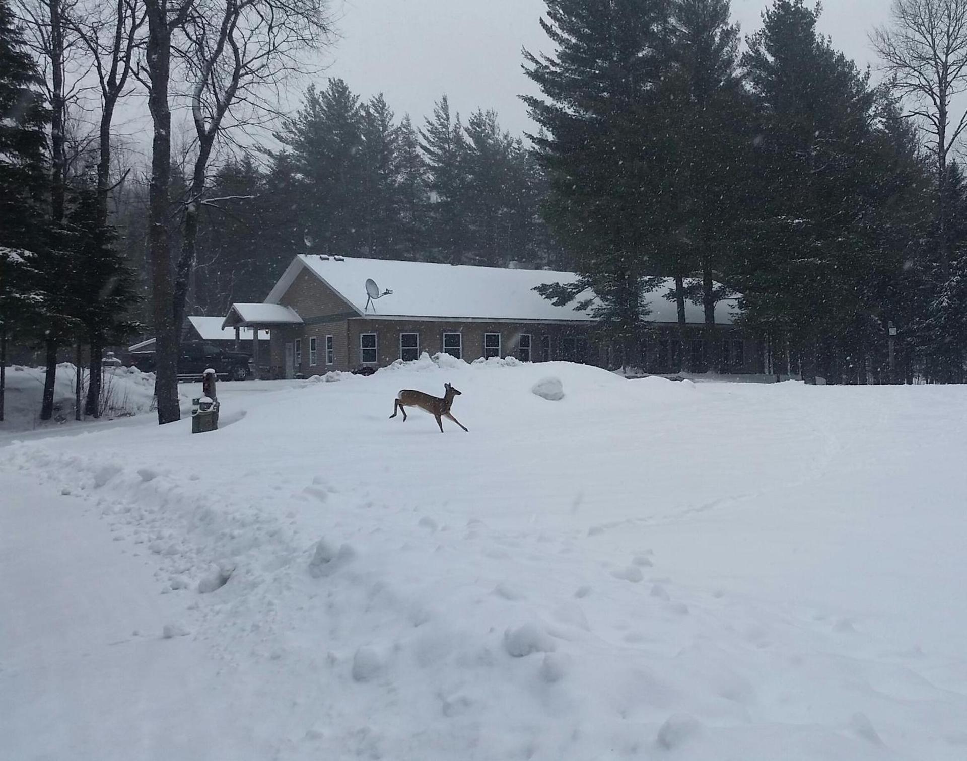 Deer Valley Trails photo 10