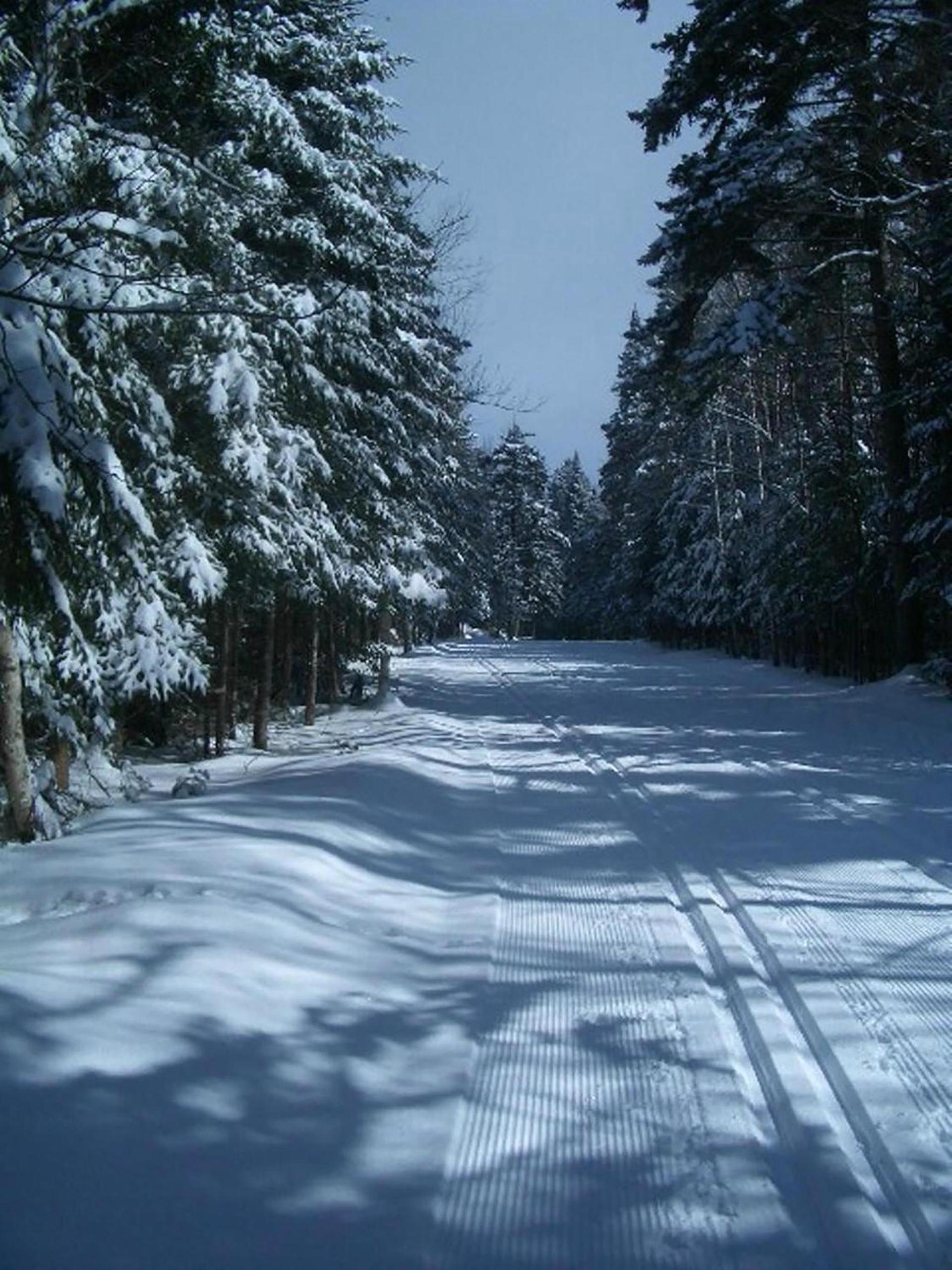 Adirondack Spruce Lodge photo 92