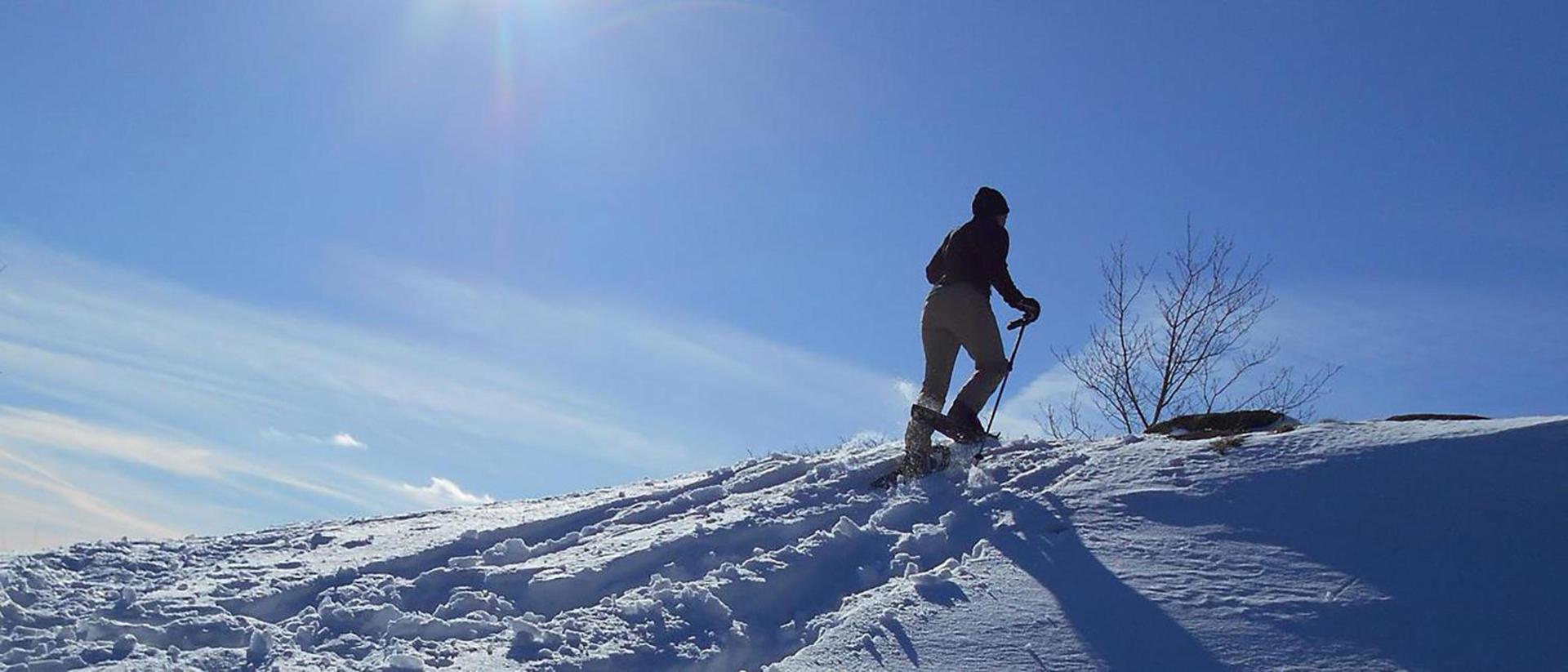 Adirondack Spruce Lodge photo 90